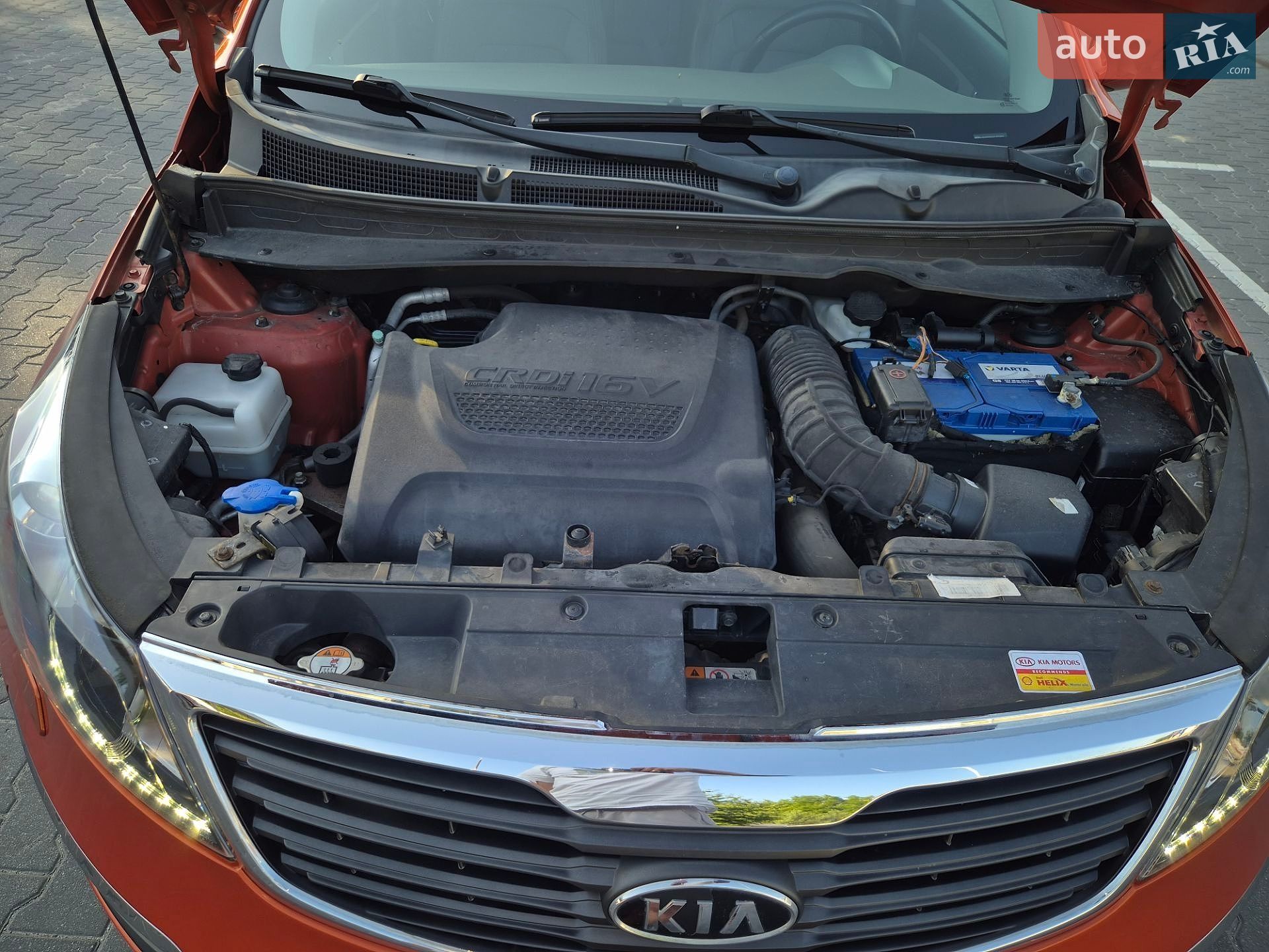 Kia Sportage 2012 VIN U5YPC813DCL076826 фото оголошення 36 з 40