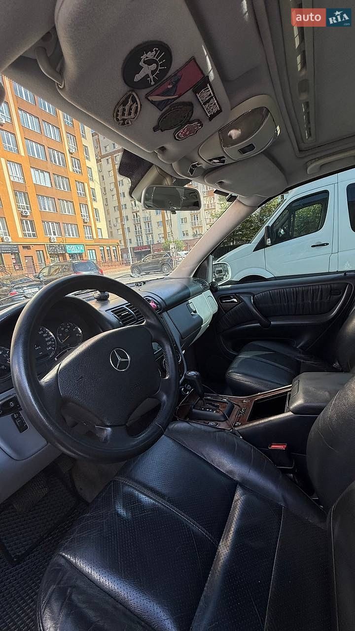 Mercedes-Benz M-Class 2002 VIN WDC1631131X771811 фото оголошення 10 з 16