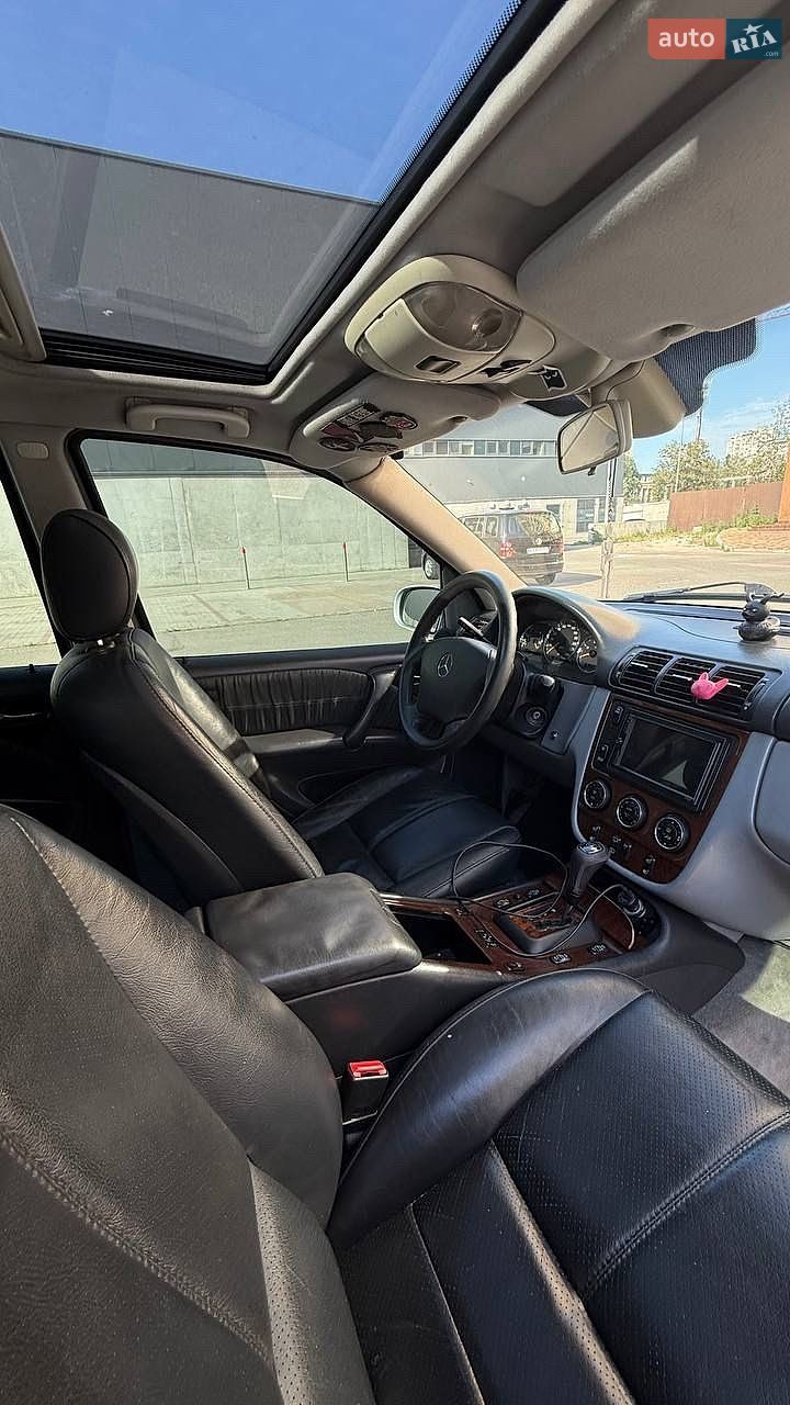 Mercedes-Benz M-Class 2002 VIN WDC1631131X771811 фото оголошення 13 з 16