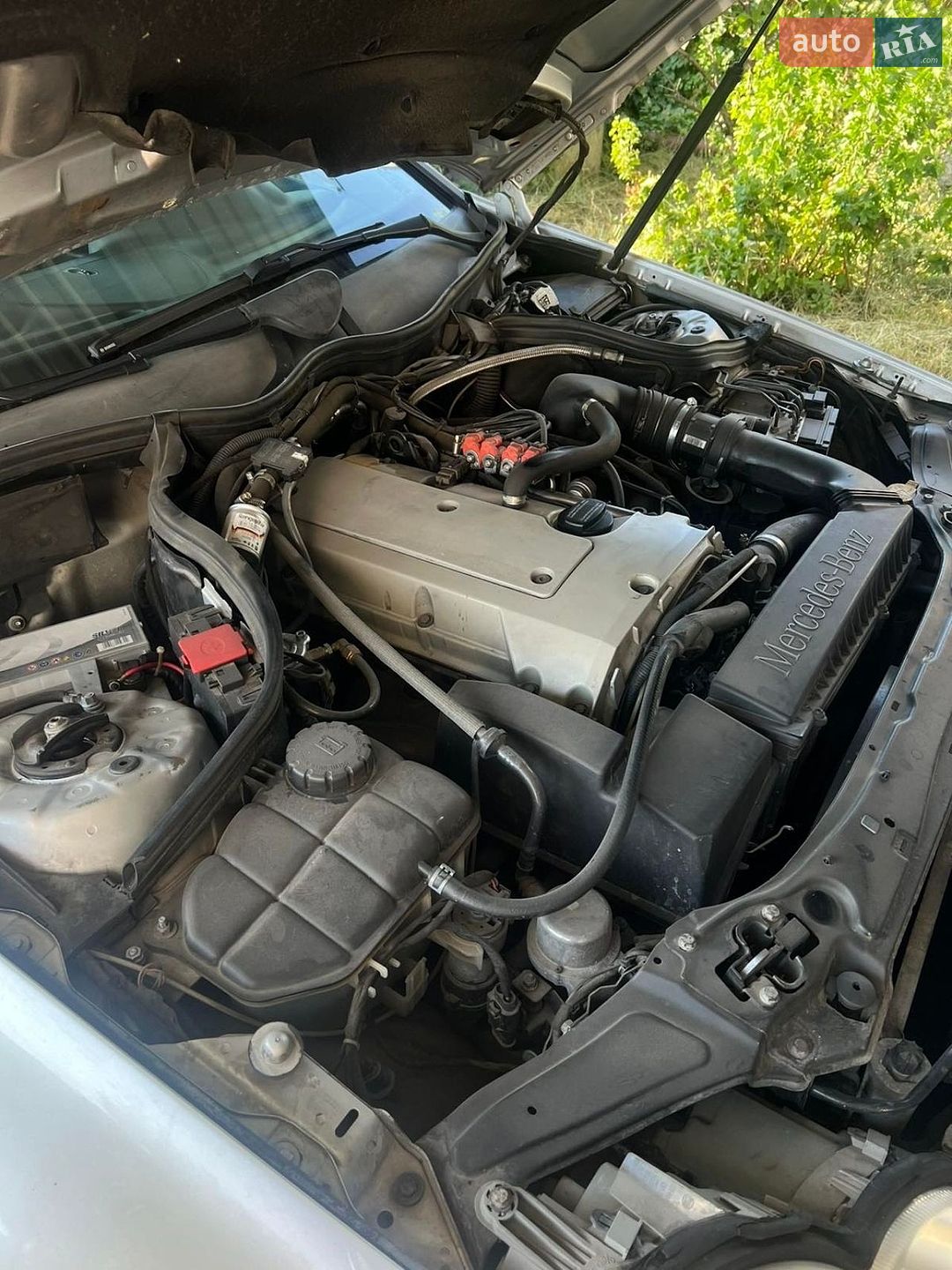 Mercedes-Benz C-Class 2001 VIN WDB2037351A266562 фото оголошення 12 з 17