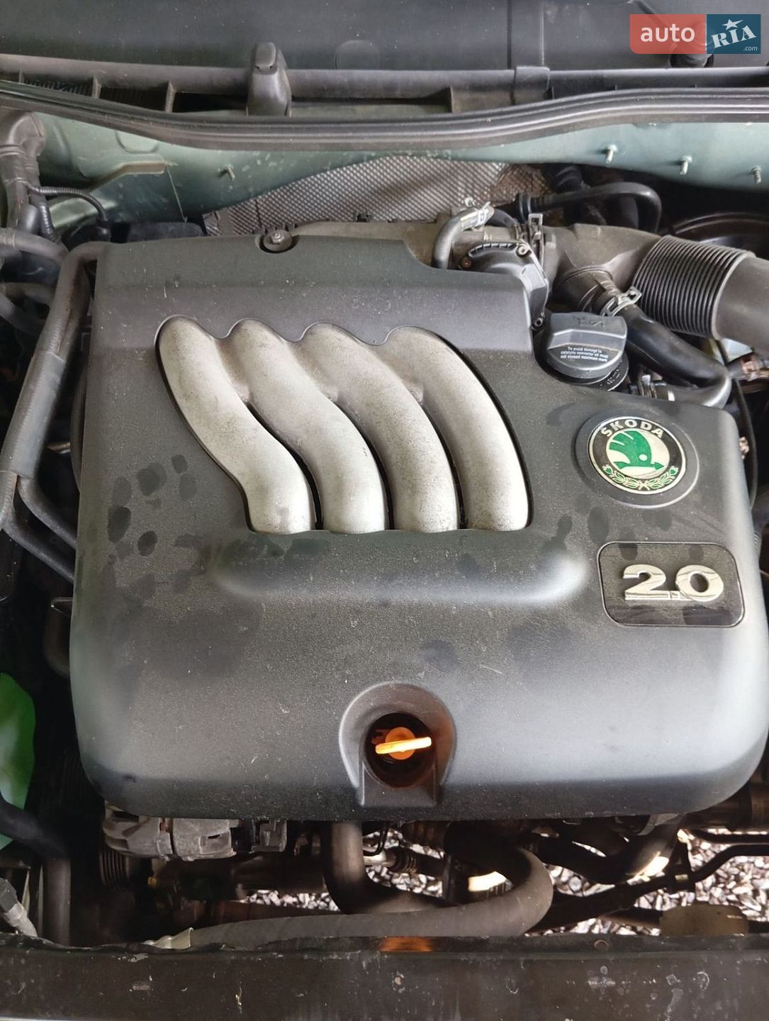 Skoda Octavia 2001 VIN TMBBE21U322540750 фото оголошення 39 з 39