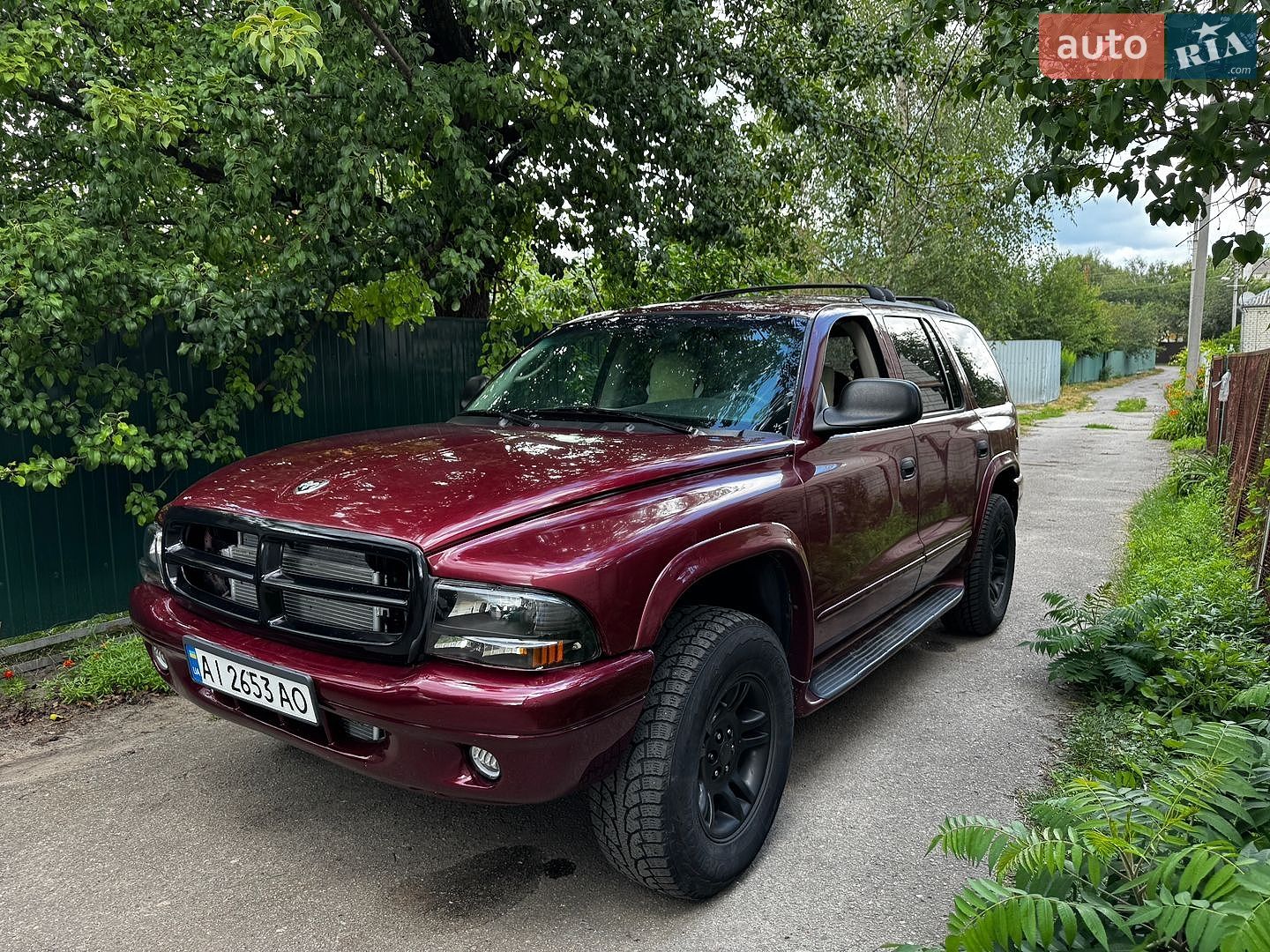Dodge Durango 2001 VIN 1B4HS28N61F533054 фото оголошення 10 з 17