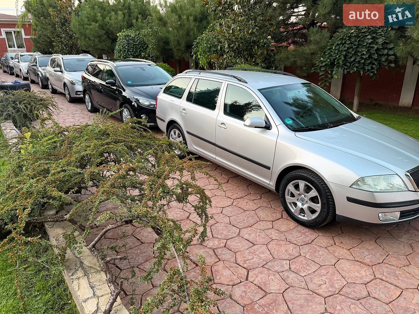 Skoda Octavia 2007 VIN TMBHA61Z172134837 фото оголошення 19 з 20