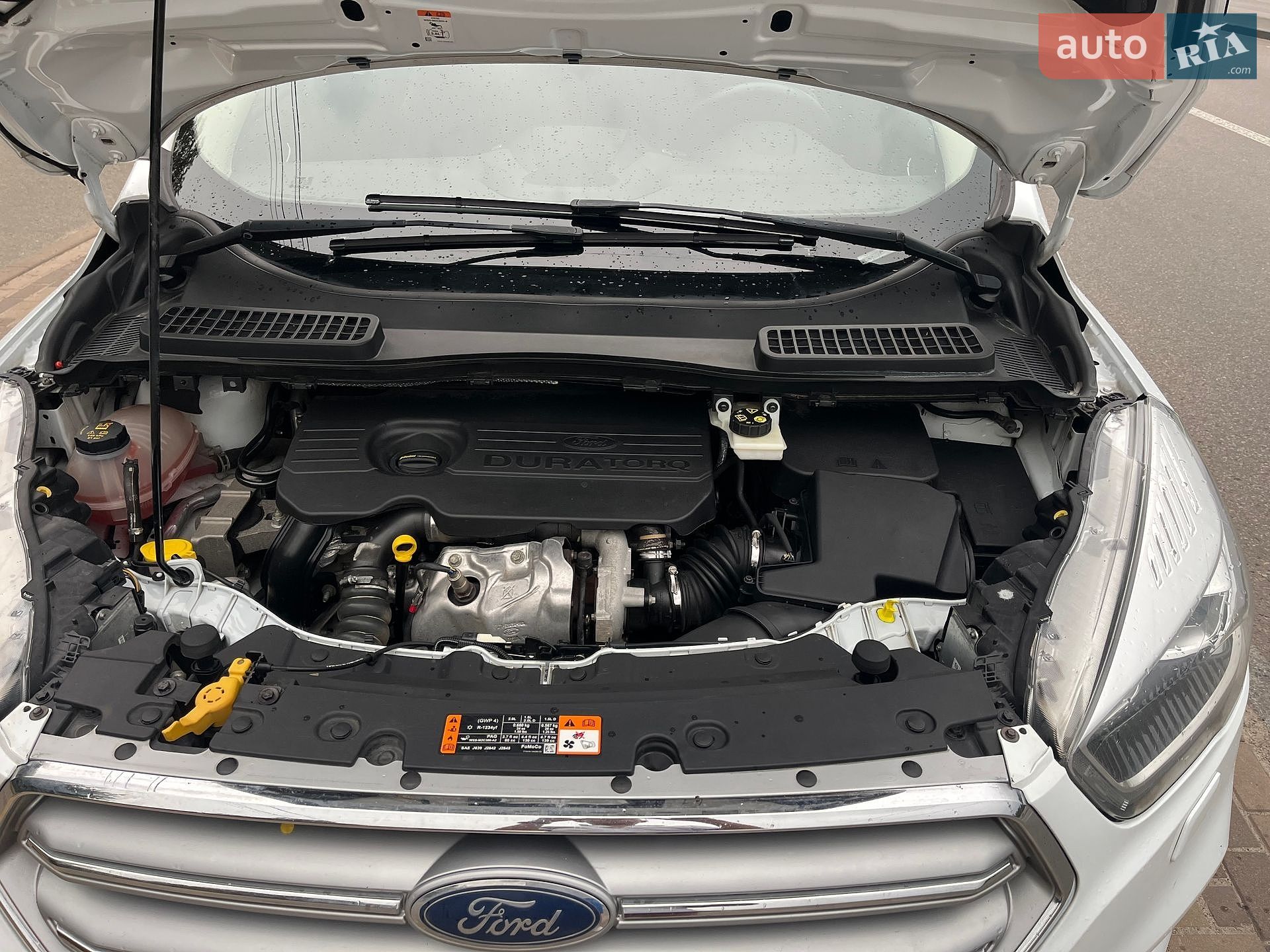 Ford Kuga 2019 VIN WF0AXXWPMAKJ60051 фото оголошення 15 з 16