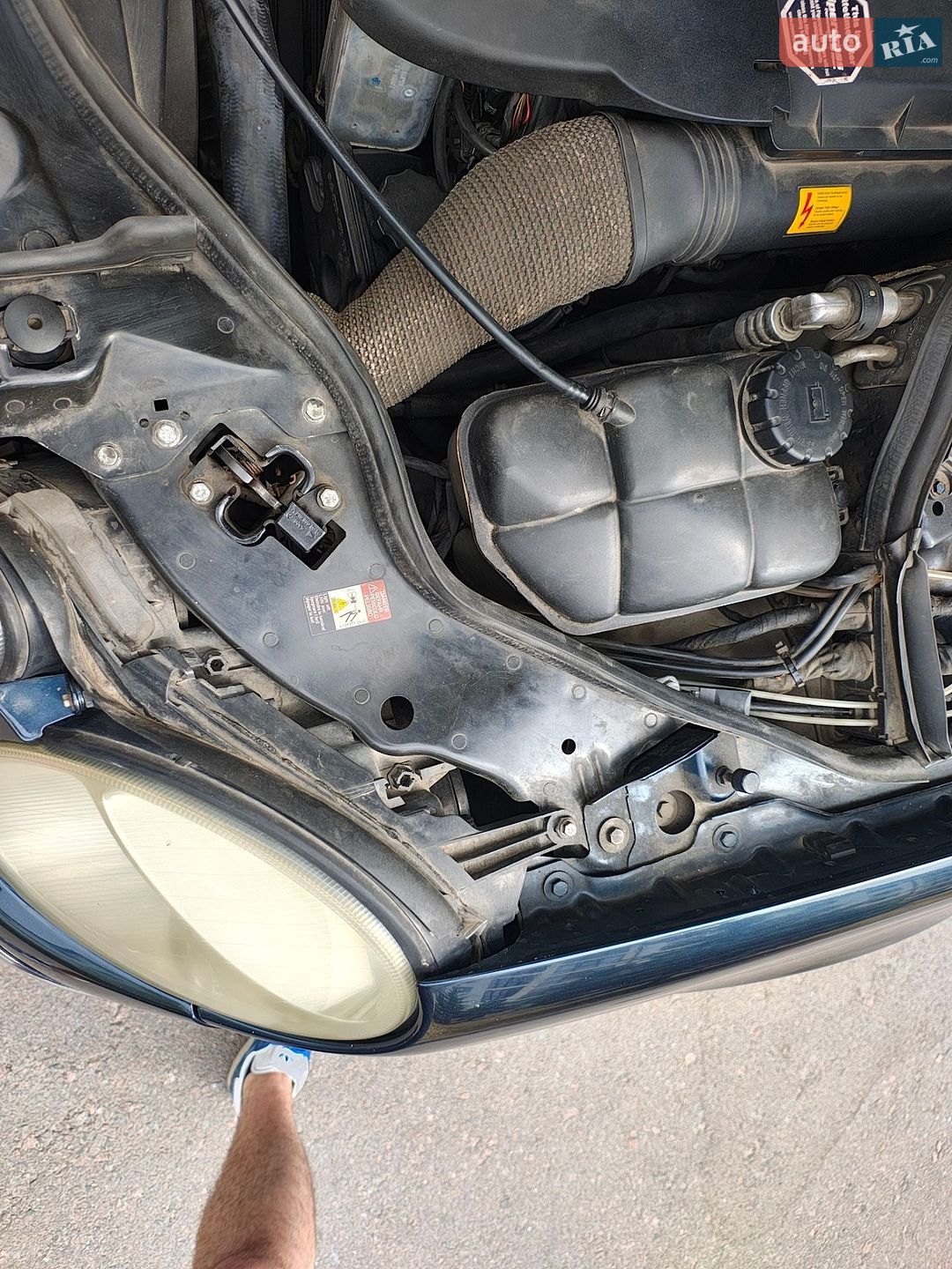 Mercedes-Benz E-Class 2005 VIN WDB2112871X185013 фото оголошення 36 з 39