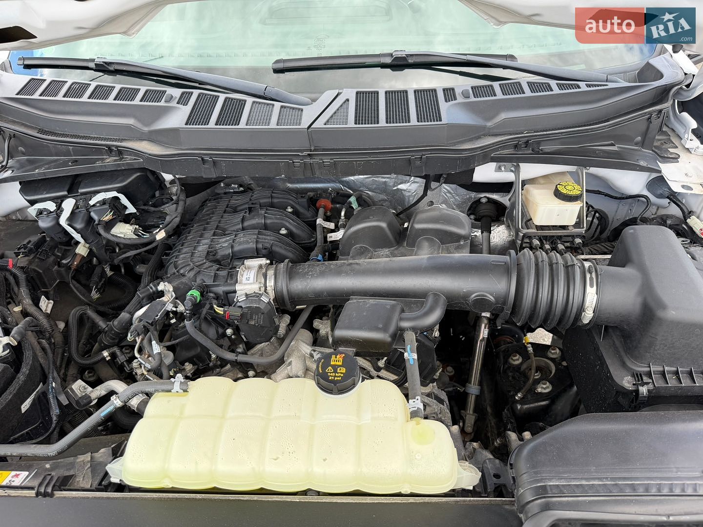 Ford F-150 2021 VIN 1FTEX1CB1MFB80256 фото оголошення 29 з 36