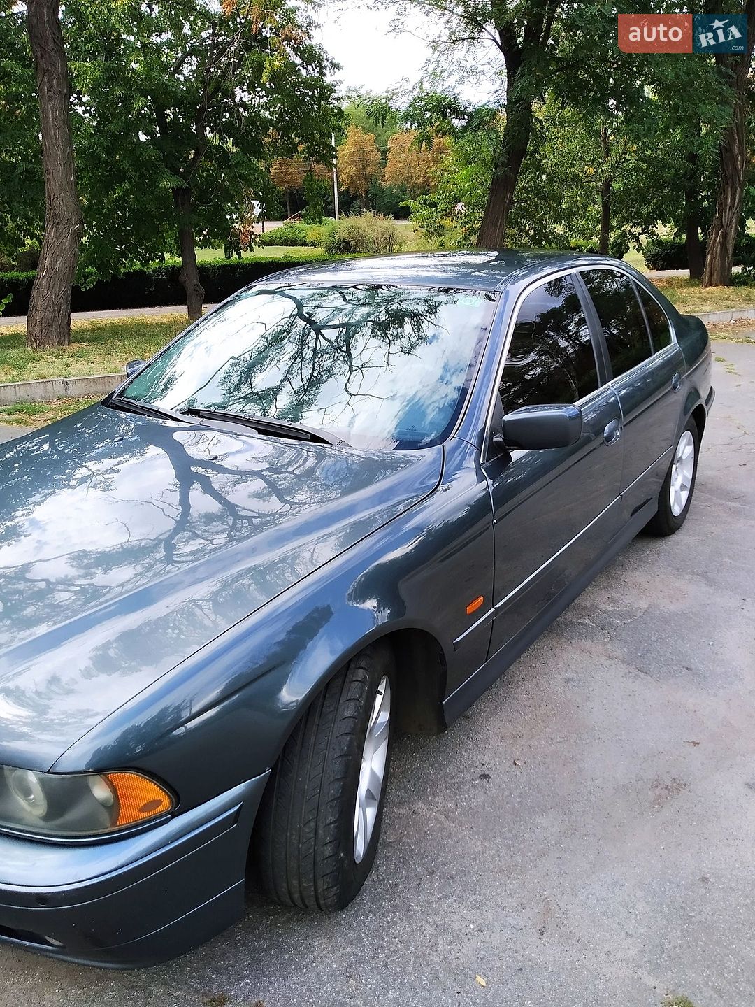 BMW 5 Series 2001 VIN WBADM71010GU49155 фото оголошення 64 з 75