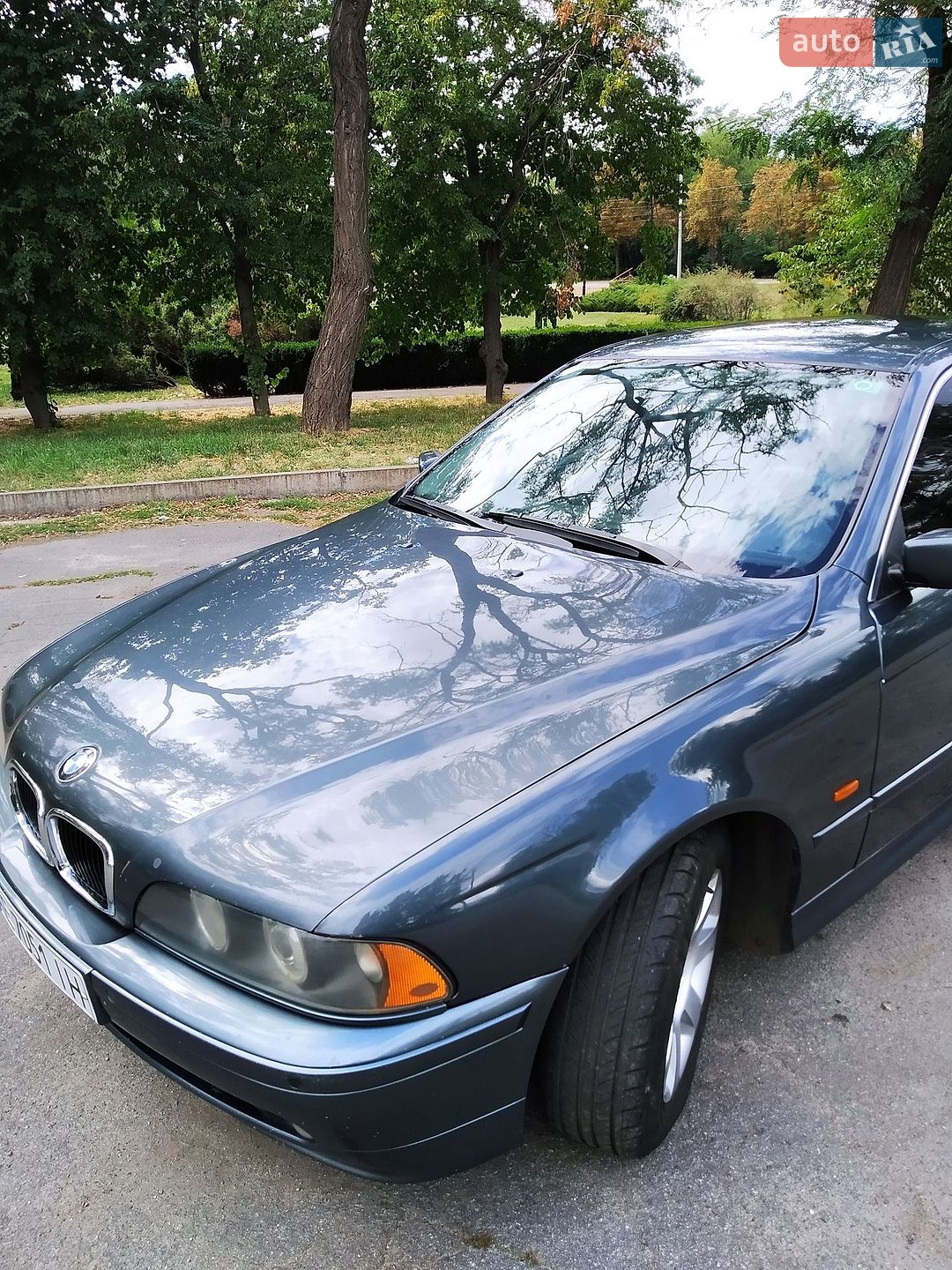 BMW 5 Series 2001 VIN WBADM71010GU49155 фото оголошення 65 з 75