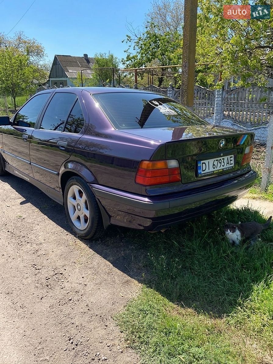 BMW 3 Series 1995 VIN WBACA91090KA10110 фото оголошення 7 з 16