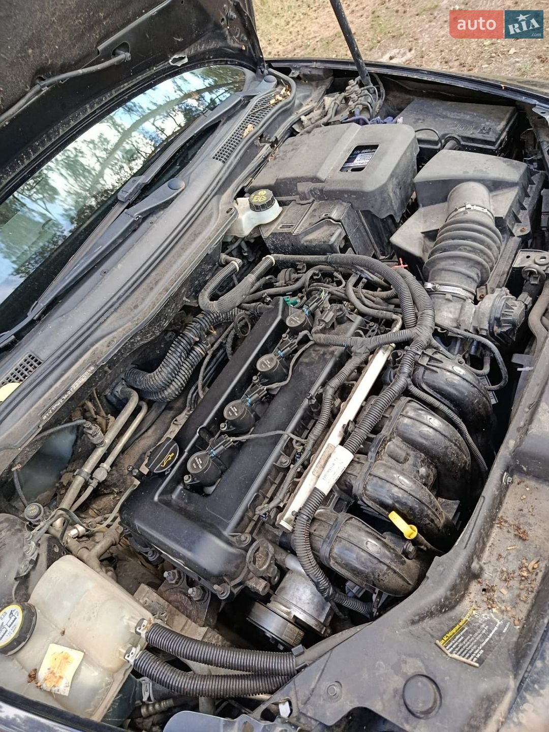 Volvo V50 2007 VIN YV1MW214272332501 фото оголошення 11 з 12