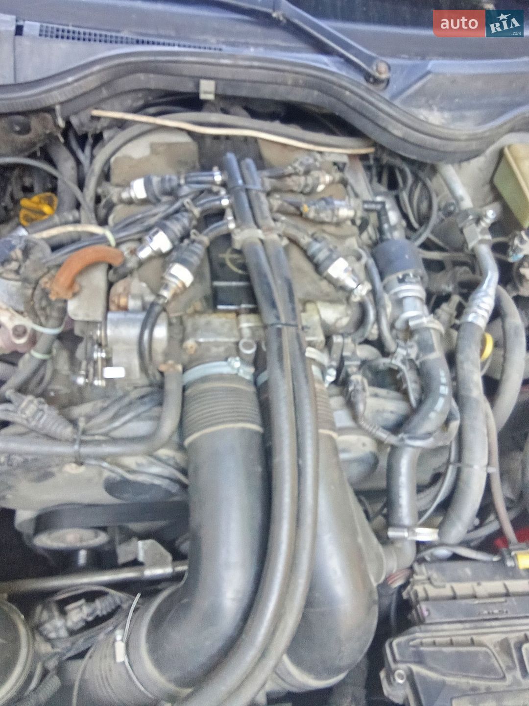 Opel Omega 1998 VIN W0L0VBM69W1154519 фото оголошення 10 з 31