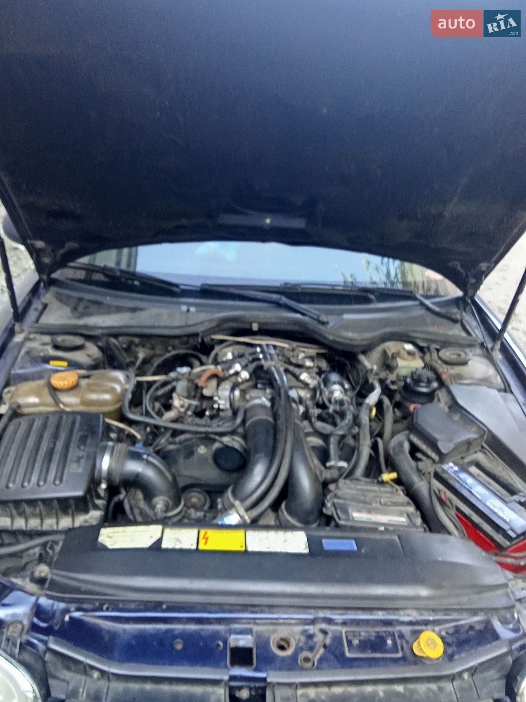 Opel Omega 1998 VIN W0L0VBM69W1154519 фото оголошення 13 з 31