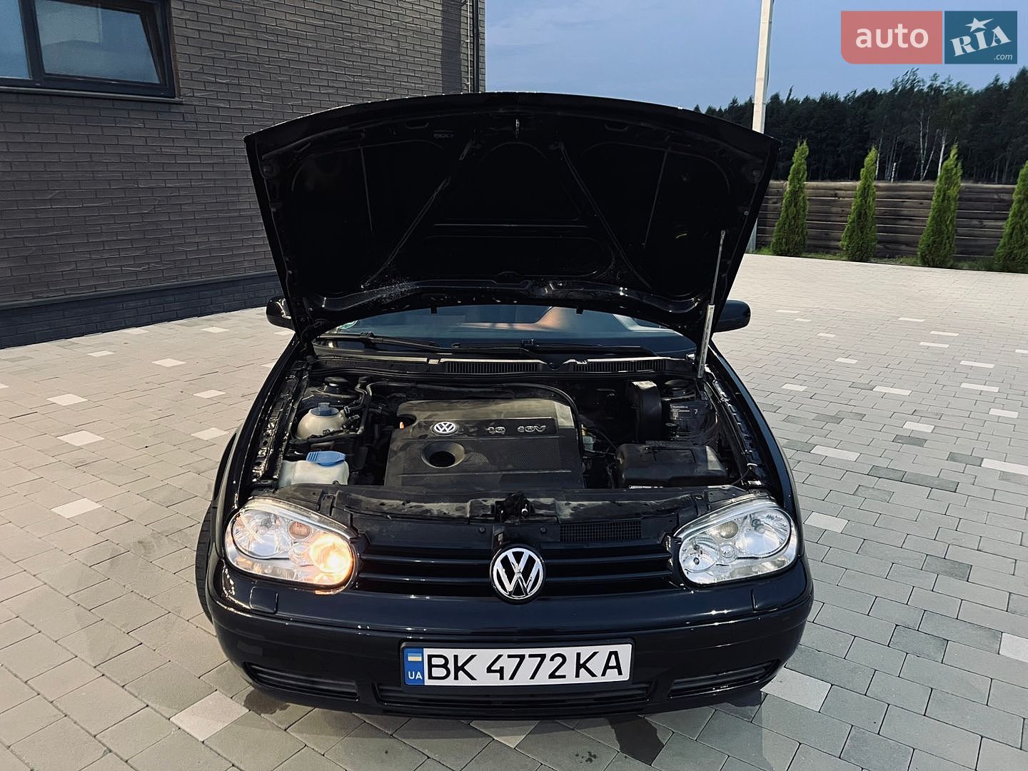 Volkswagen Golf 2003 VIN WVWZZZ1JZ3W520339 фото оголошення 2 з 28