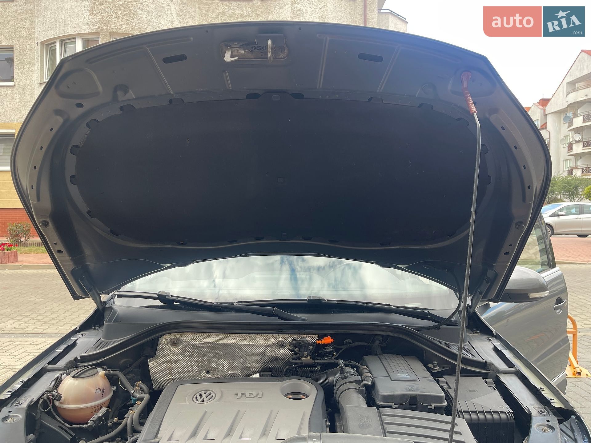 Volkswagen Tiguan 2013 VIN WVGZZZ5NZDW590375 фото оголошення 71 з 83
