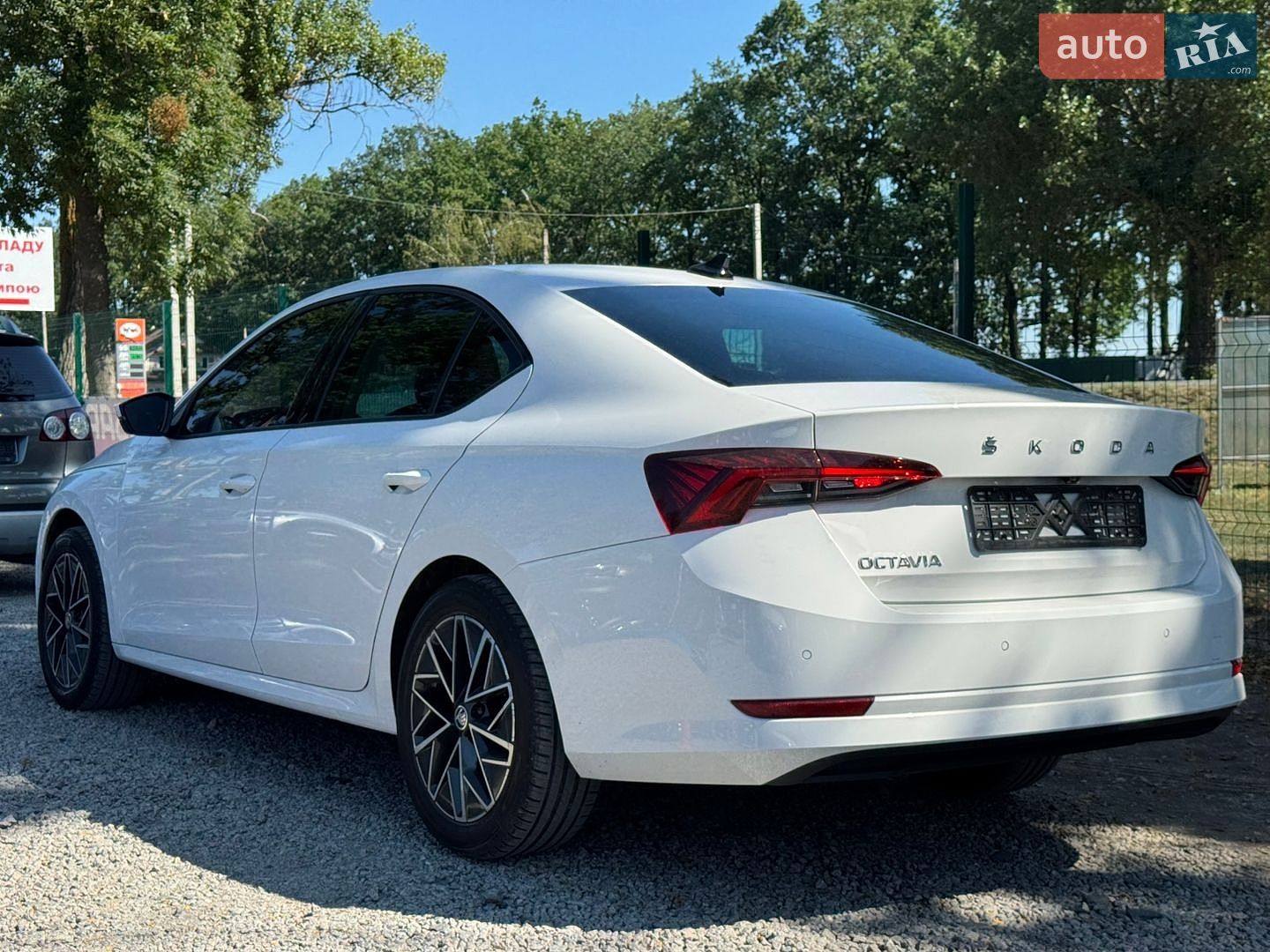 Skoda Octavia 2020 VIN TMBAG7NX5MY084726 фото оголошення 8 з 49