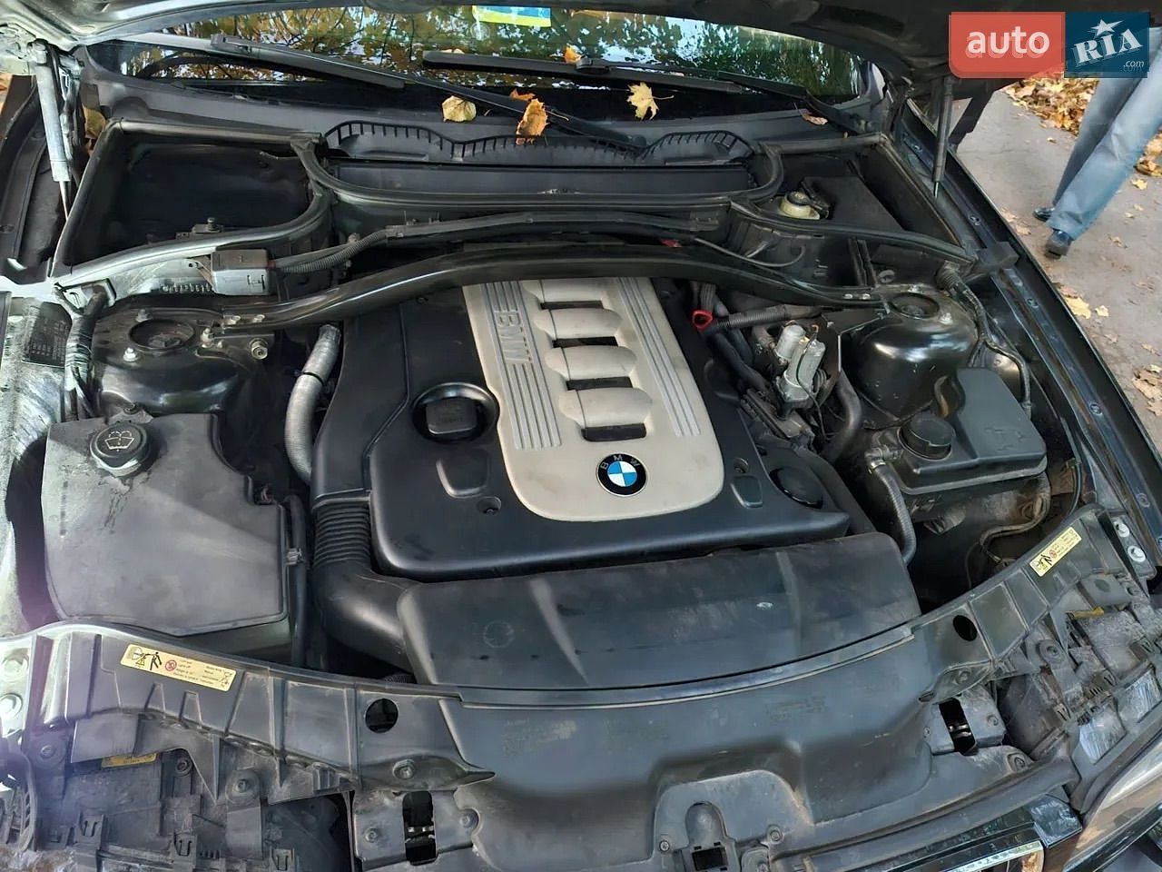BMW X3 2005 VIN WBAPD51040WD62313 фото оголошення 14 з 15