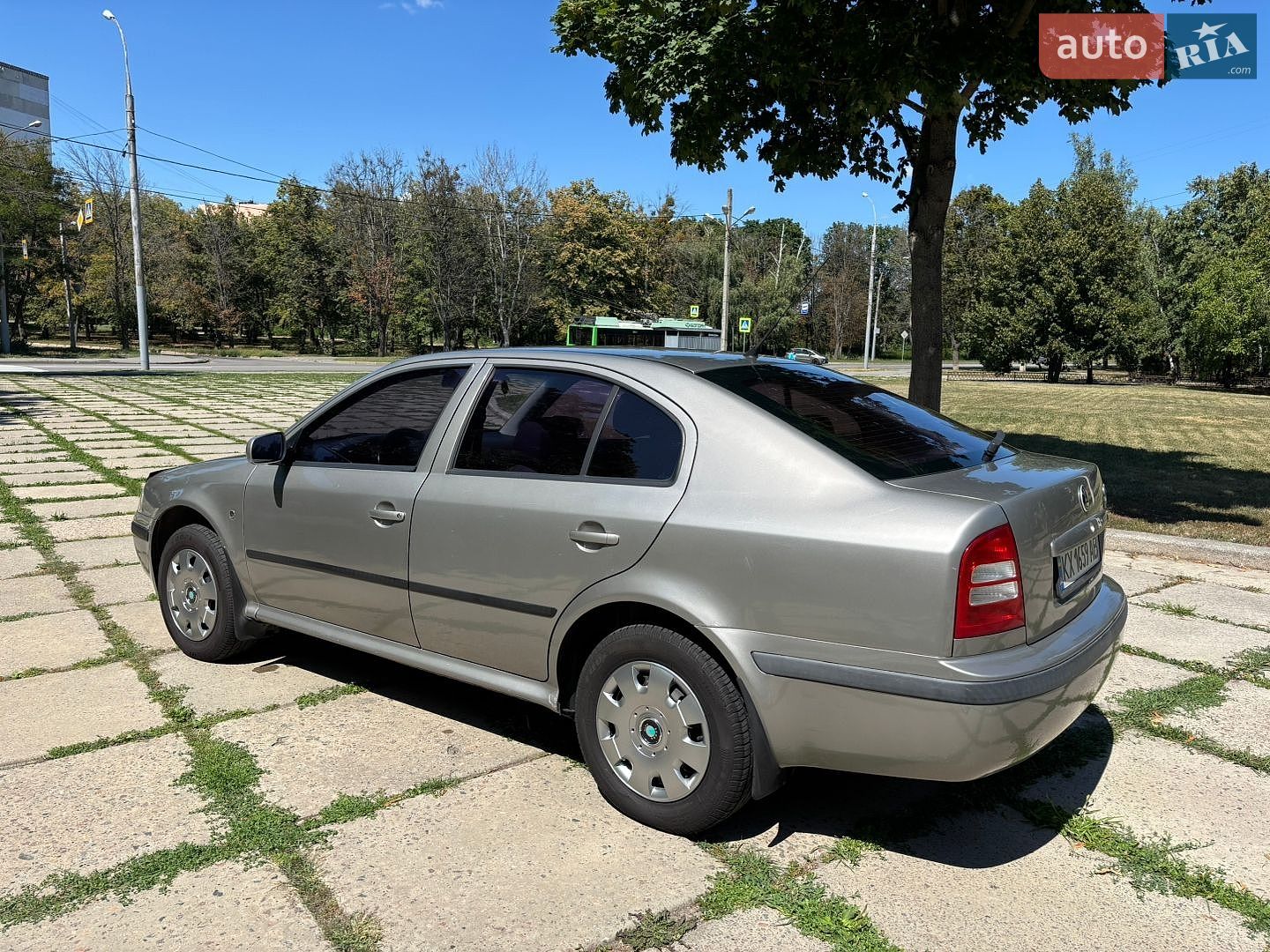 Skoda Octavia 2008 VIN TMBDX41U28B015489 фото оголошення 16 з 27