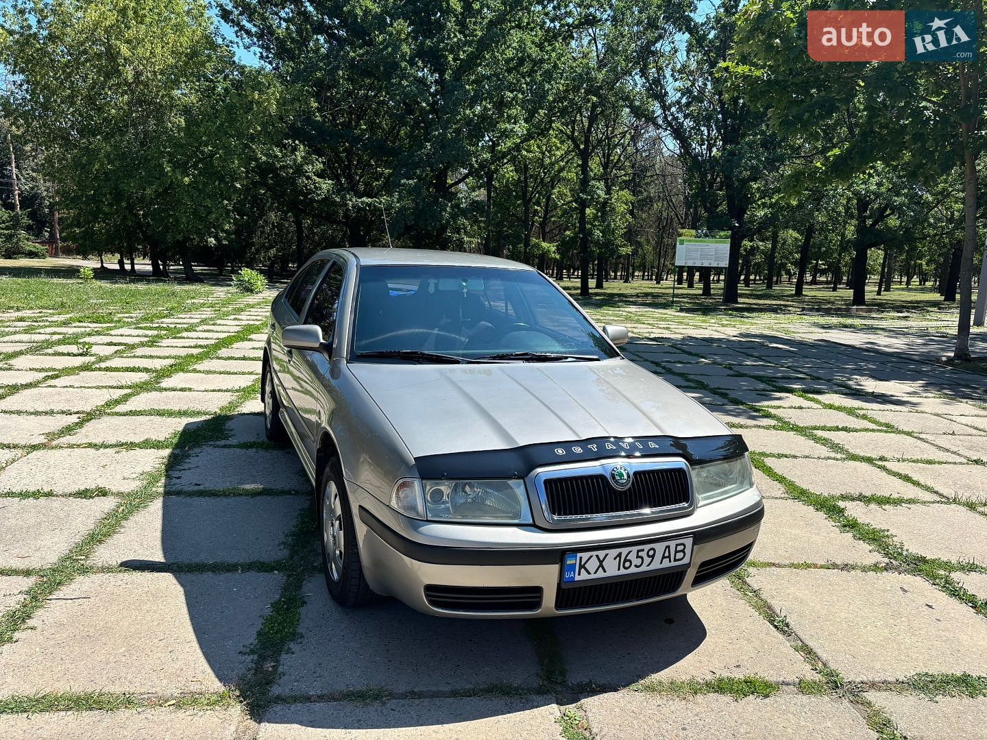 Skoda Octavia 2008 VIN TMBDX41U28B015489 фото оголошення 20 з 27
