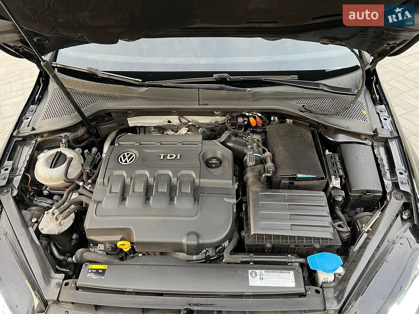 Volkswagen Golf 2013 VIN WVWZZZAUZEP502819 фото оголошення 23 з 23