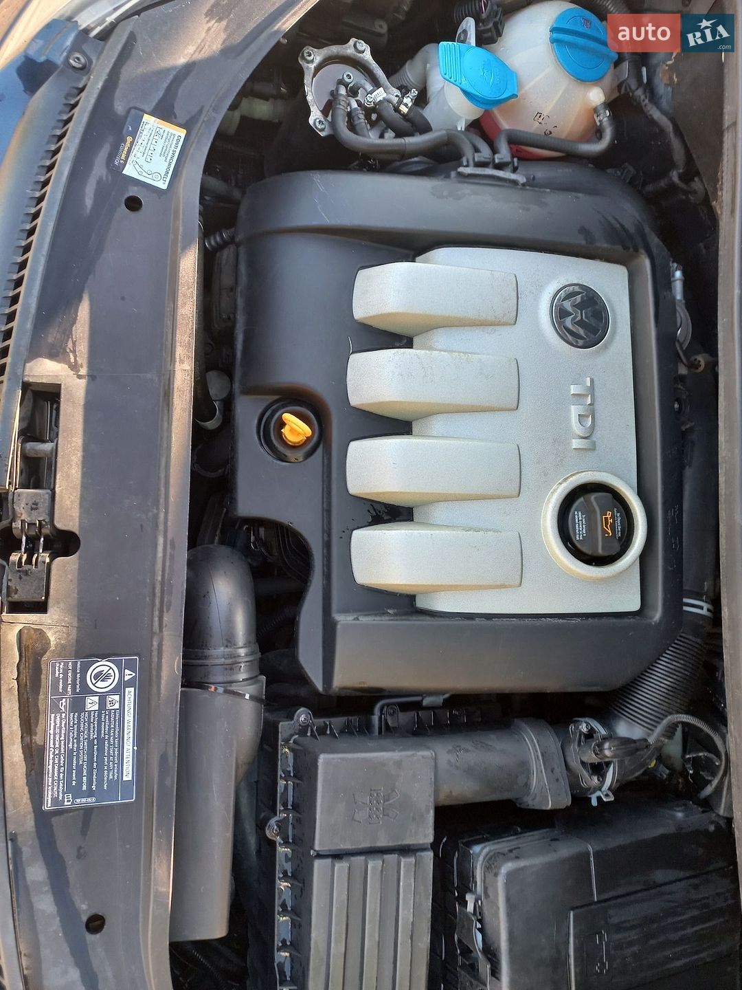 Volkswagen Golf 2005 VIN WVWZZZ1KZ6W531667 фото оголошення 16 з 16