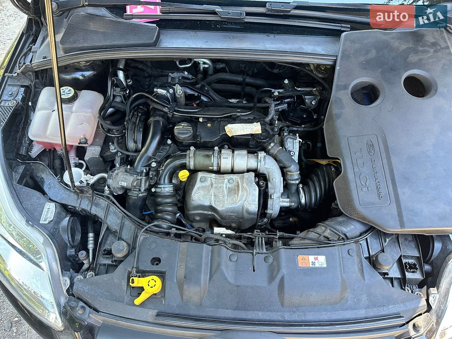 Ford Focus 2012 VIN WF0LXXGCBLCB43671 фото оголошення 38 з 48