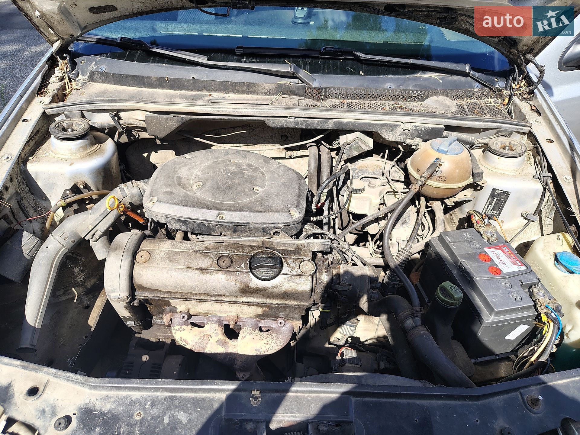 Volkswagen Golf 1998 VIN WVWZZZ1HZWB031271 фото оголошення 8 з 28
