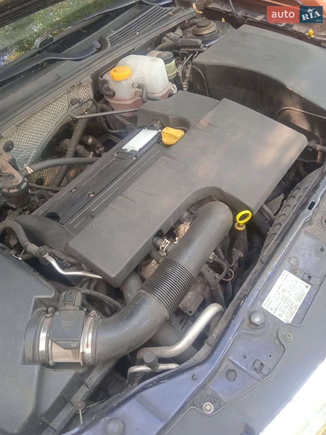 Opel Vectra 2005 VIN Y6D0ZCF6961019450 фото оголошення 5 з 9