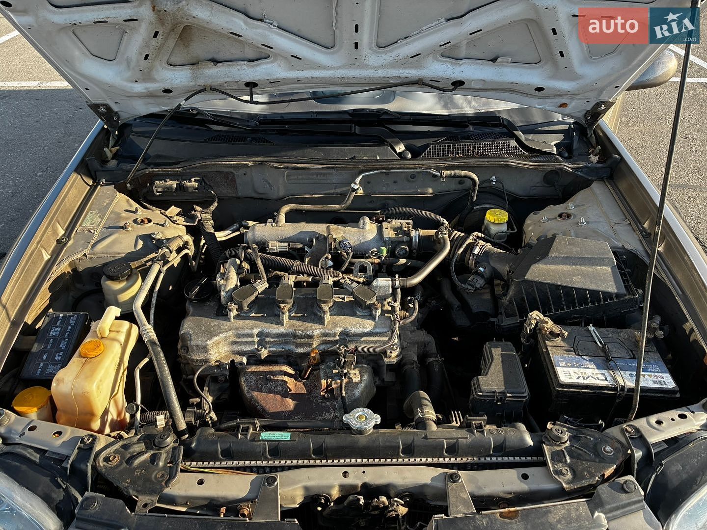 Nissan Sentra 2004 VIN 3N1CB51D34L887661 фото оголошення 17 з 23