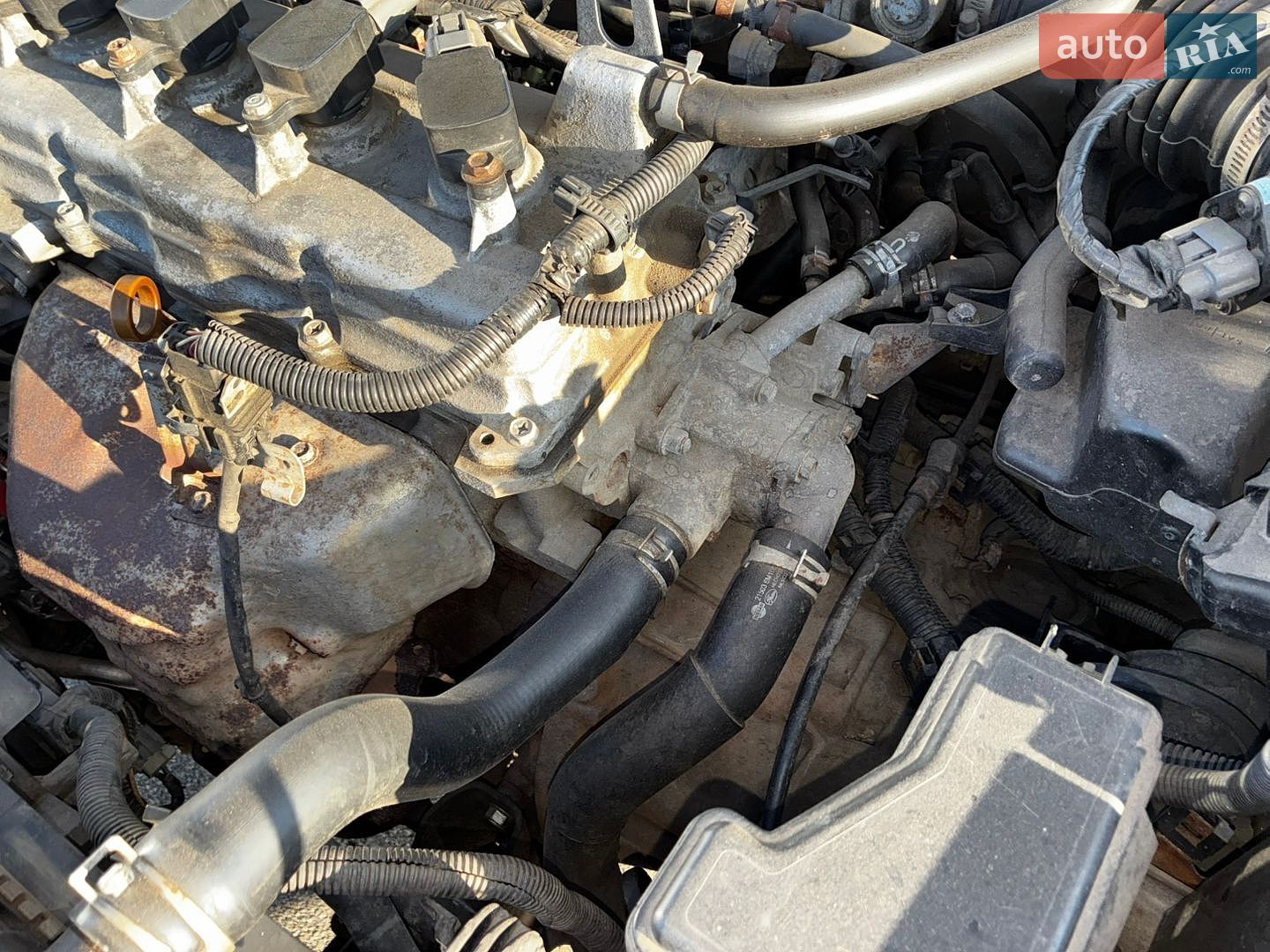 Nissan Sentra 2004 VIN 3N1CB51D34L887661 фото оголошення 18 з 23