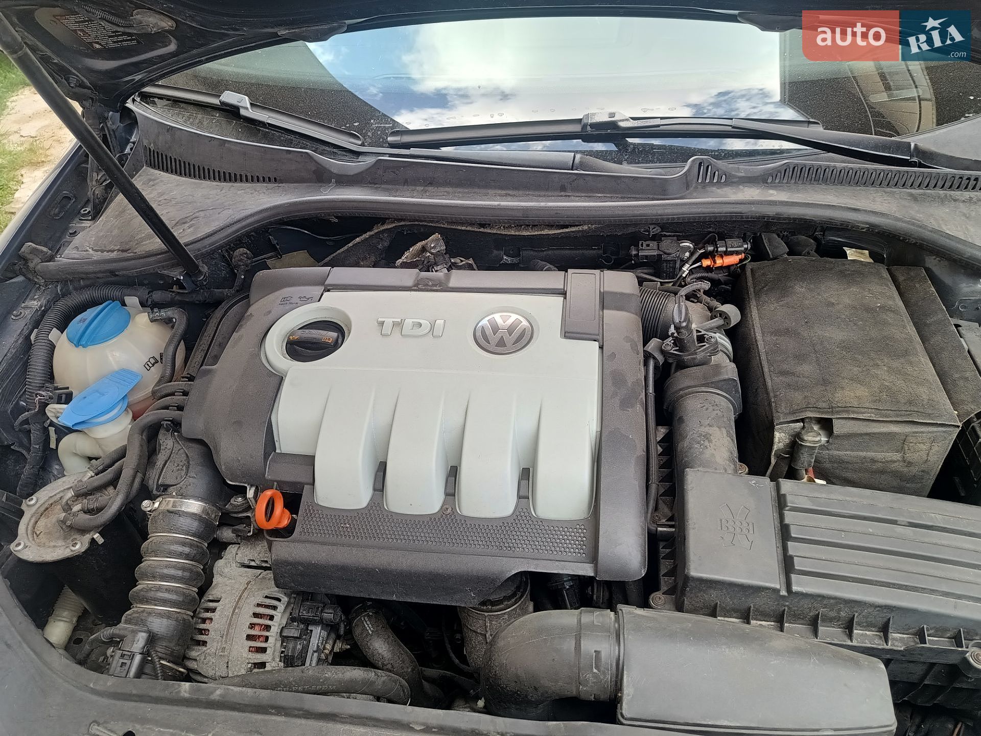 Volkswagen Golf 2008 VIN WVWZZZ1KZ9M299059 фото оголошення 15 з 17