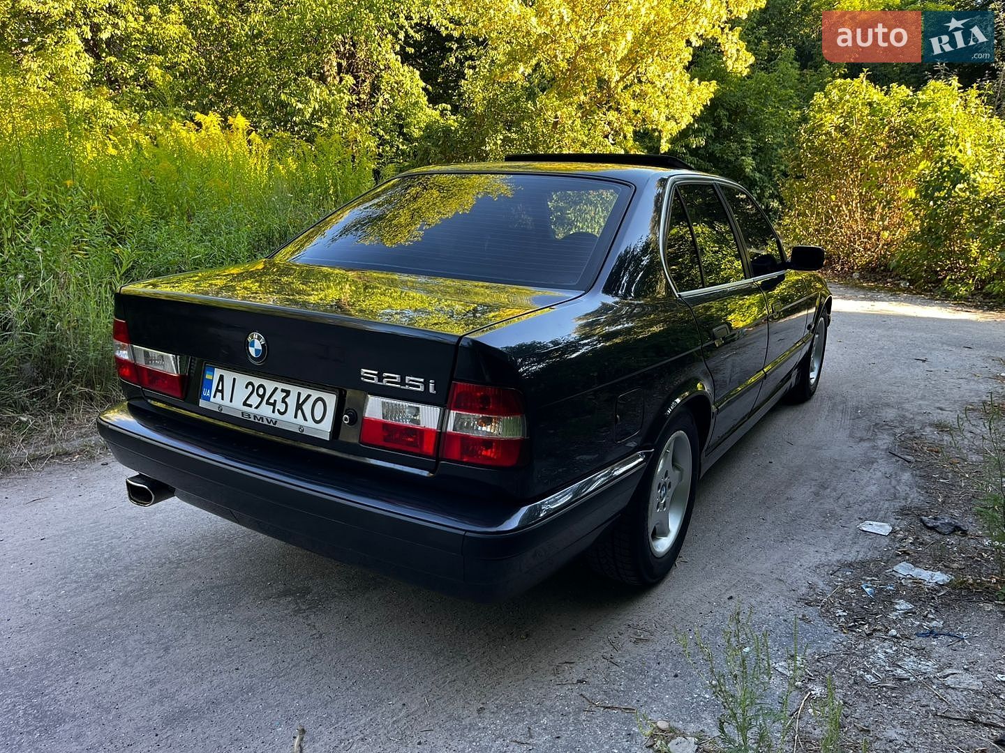 BMW 5 Series 1995 VIN WBAHD51060BG67288 фото оголошення 8 з 64