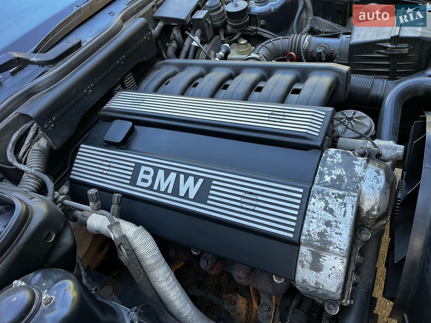 BMW 5 Series 1995 VIN WBAHD51060BG67288 фото оголошення 42 з 64