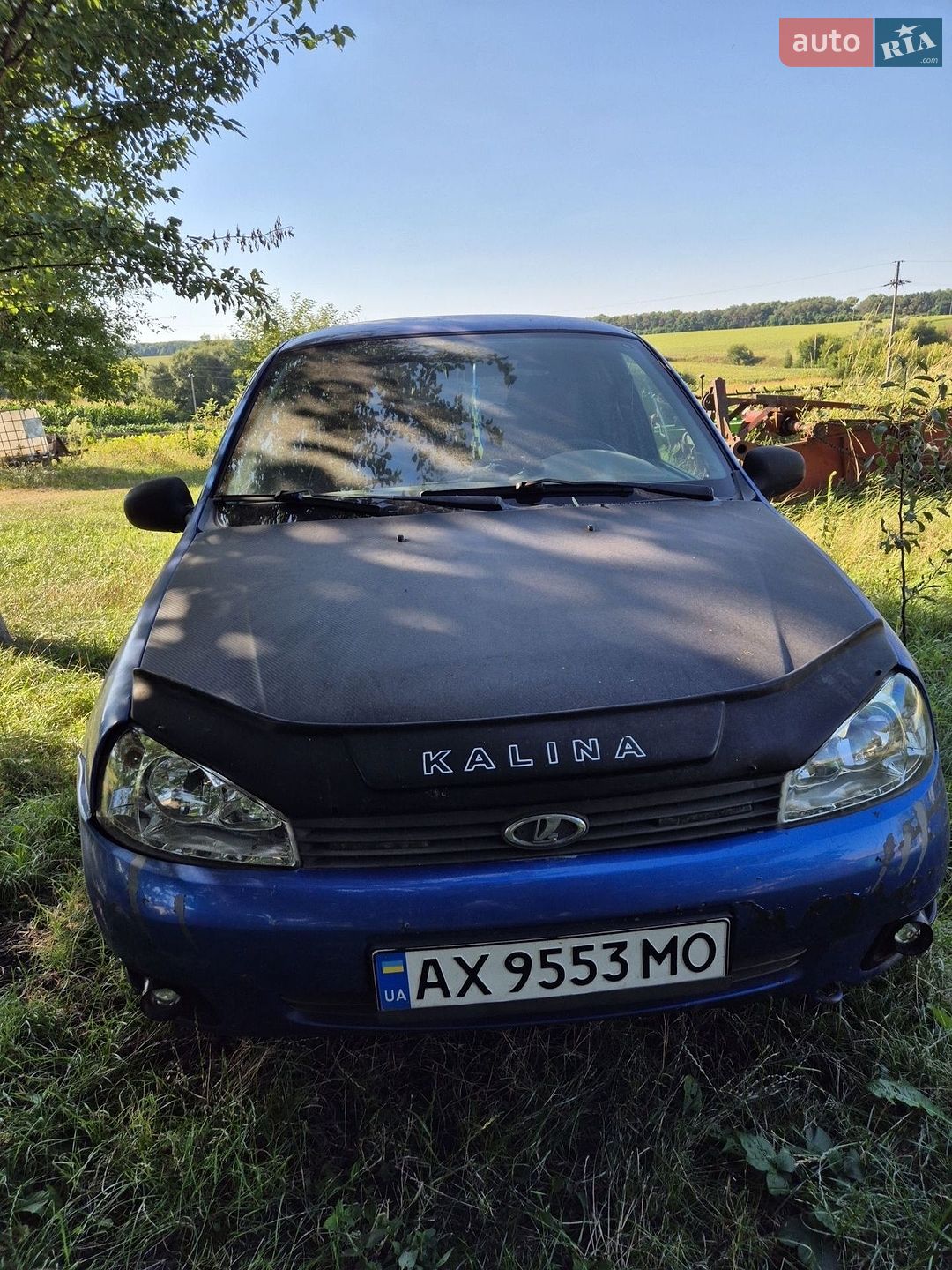 ВАЗ / Lada 1117 Калина 2006 VIN XTA11183070072031 фото оголошення 8 з 9