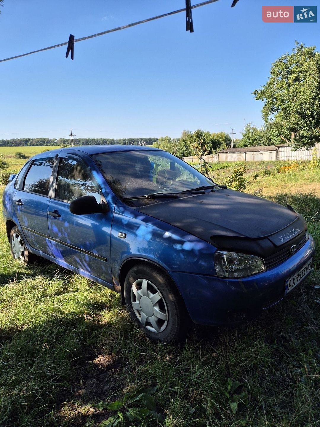 ВАЗ / Lada 1117 Калина 2006 VIN XTA11183070072031 фото оголошення 9 з 9