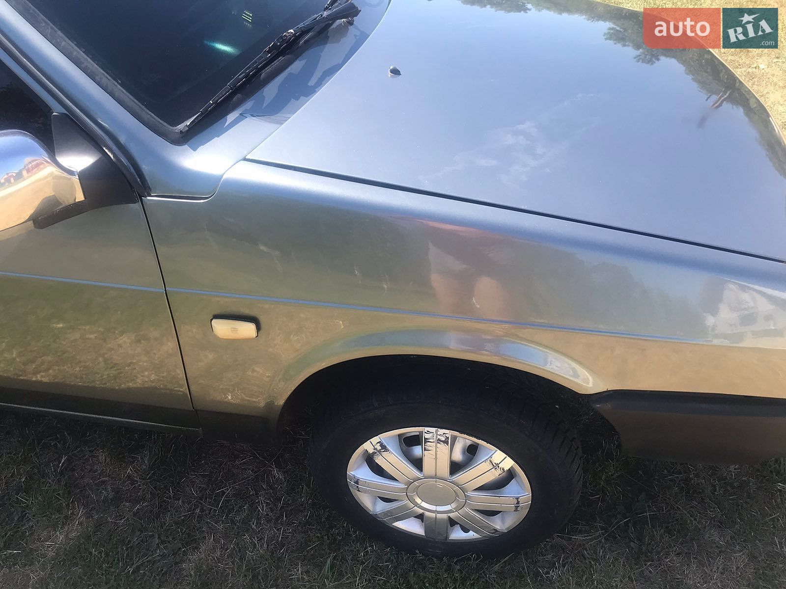 ВАЗ / Lada 21099 2001 VIN XTA21099012973113 фото оголошення 17 з 20