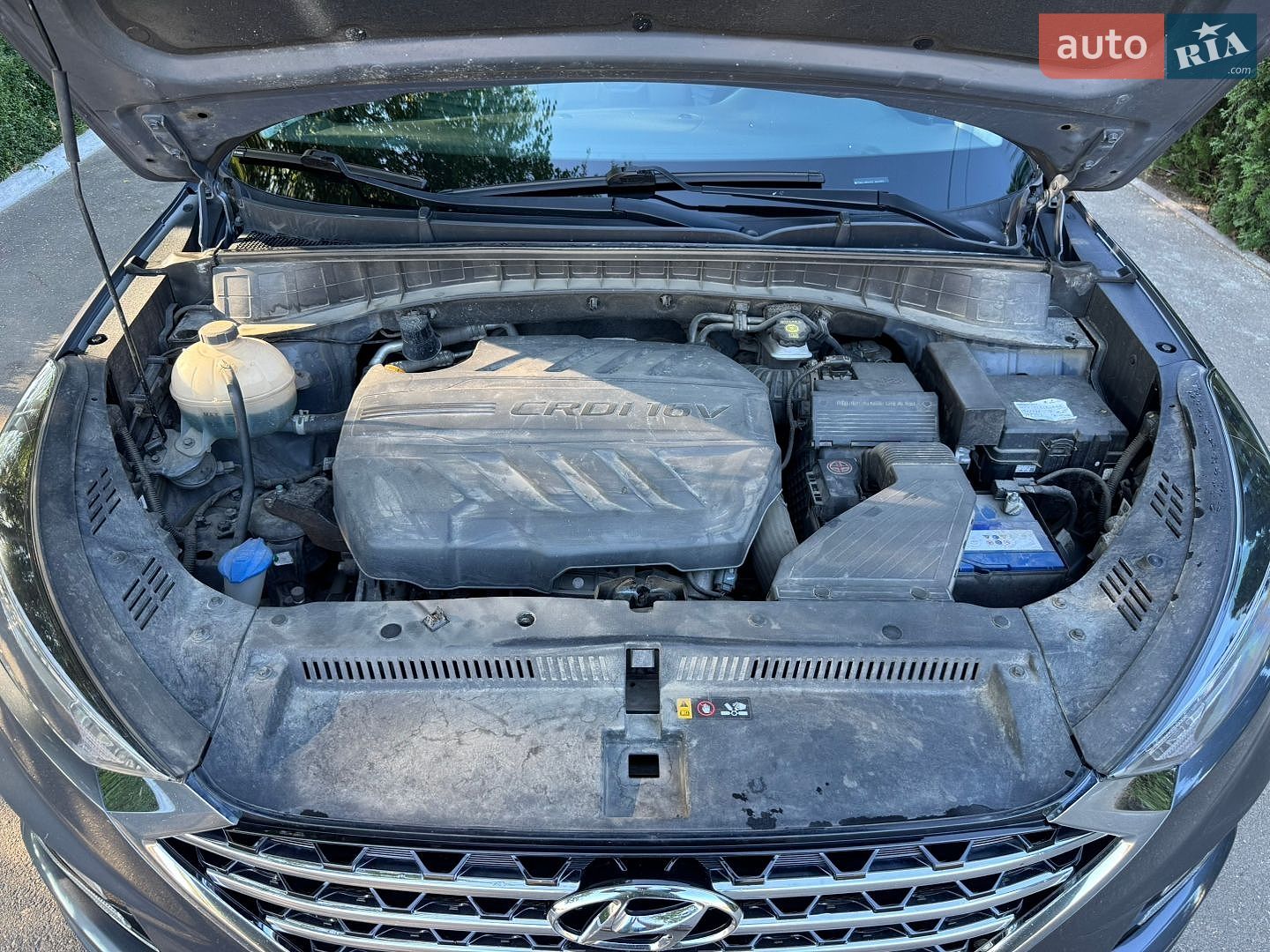 Hyundai Tucson 2019 VIN TMAJ381ADLJ923177 фото оголошення 22 з 26
