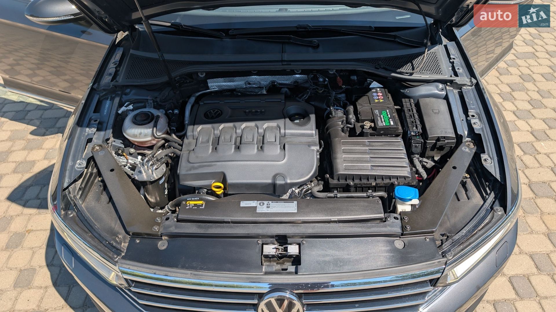 Volkswagen Passat 2018 VIN WVWZZZ3CZKE021566 фото оголошення 24 з 25