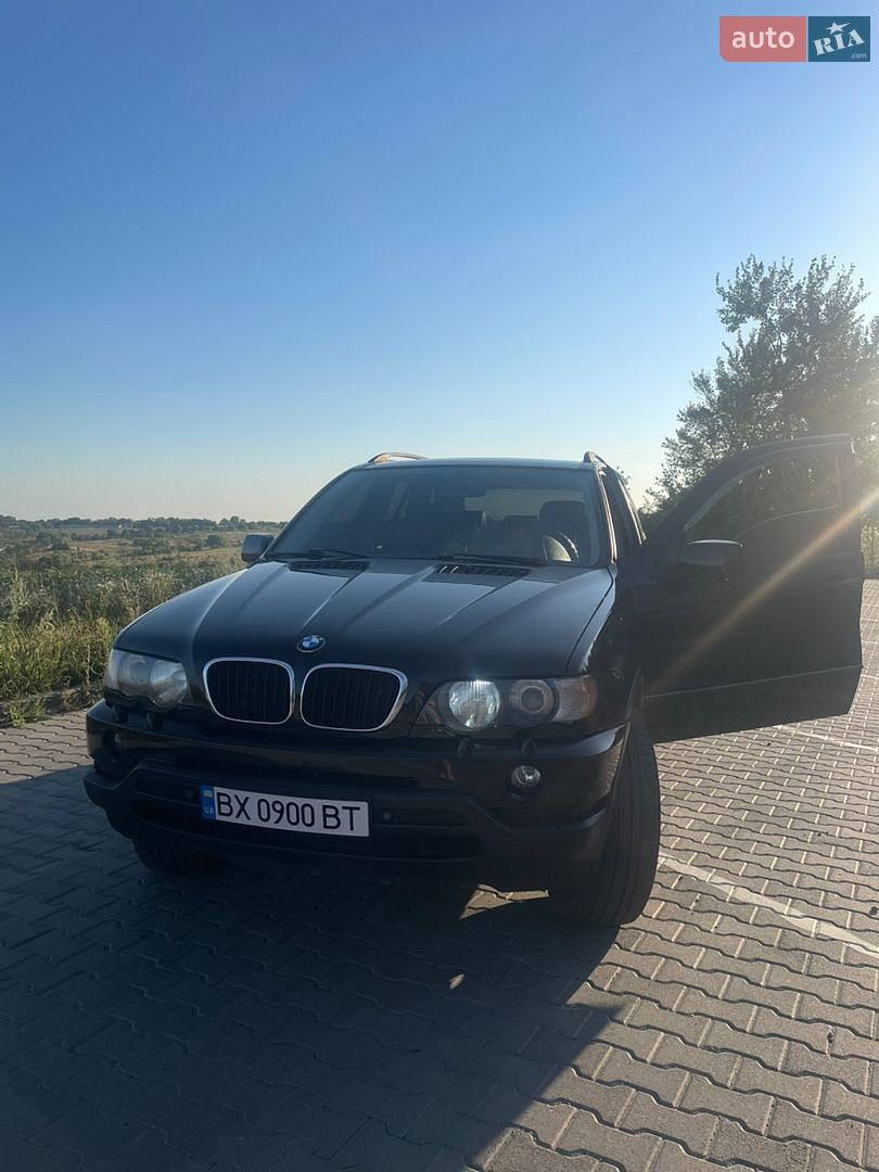BMW X5 2003 VIN WBAFA51070LT44245 фото оголошення 12 з 37