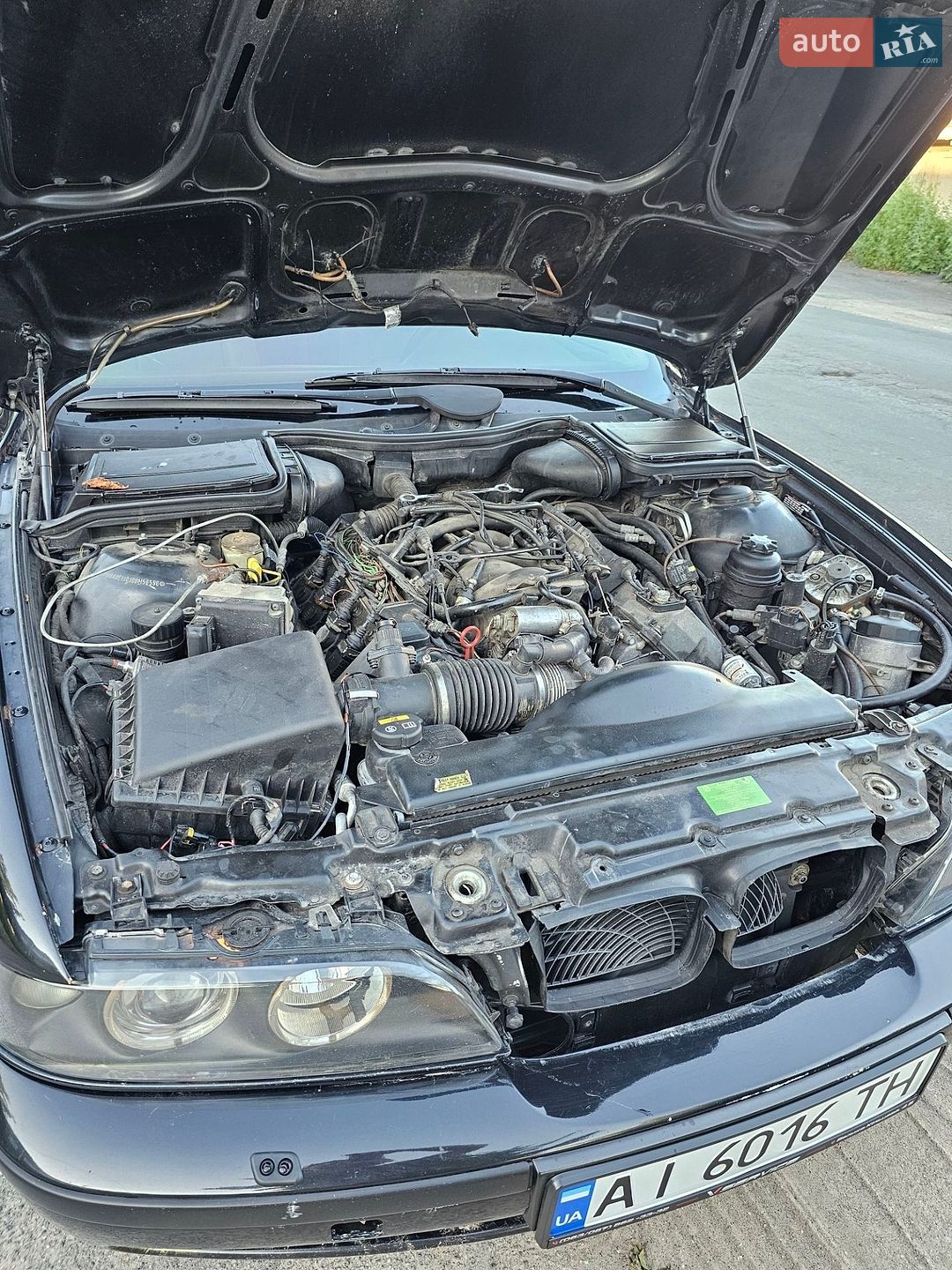 BMW 5 Series 1997 VIN WBADE11010BM56596 фото оголошення 10 з 16