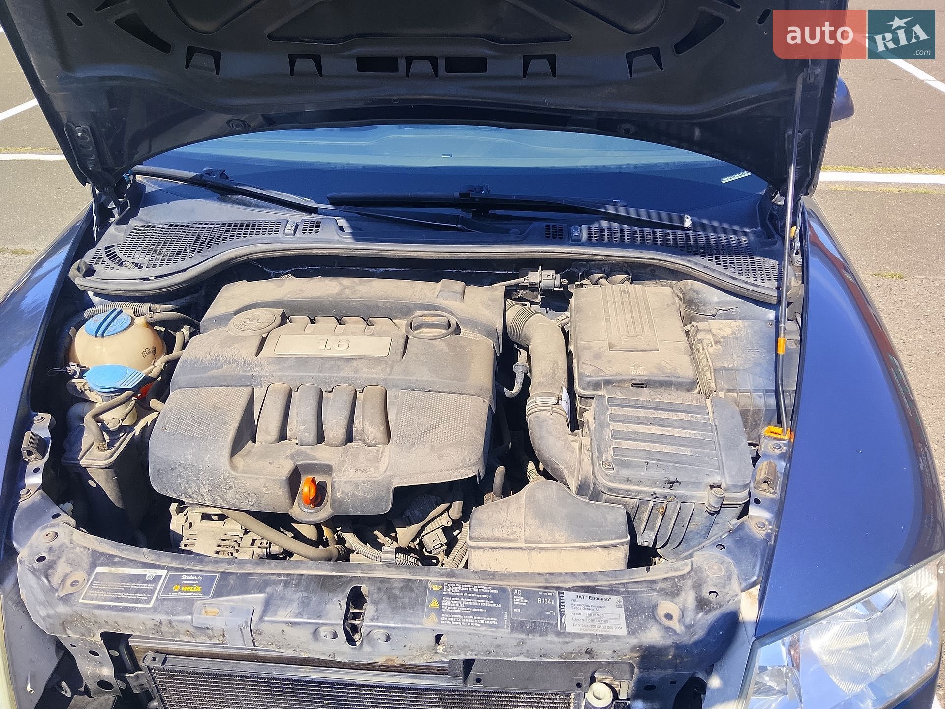 Skoda Octavia 2008 VIN TMBBA41Z08B157425 фото оголошення 13 з 15