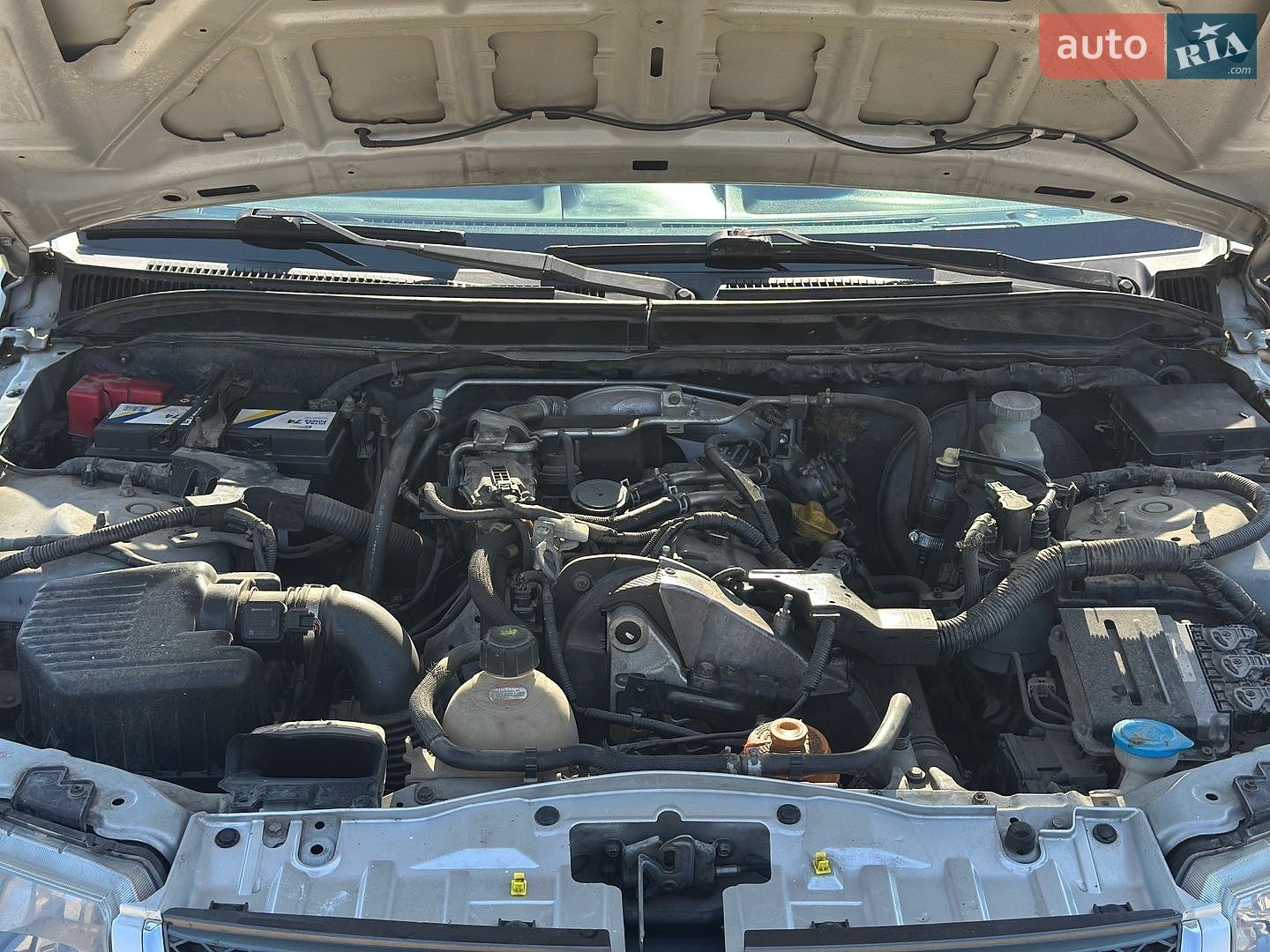 Suzuki Grand Vitara 2011 VIN JSAJTD44V00618034 фото оголошення 12 з 19