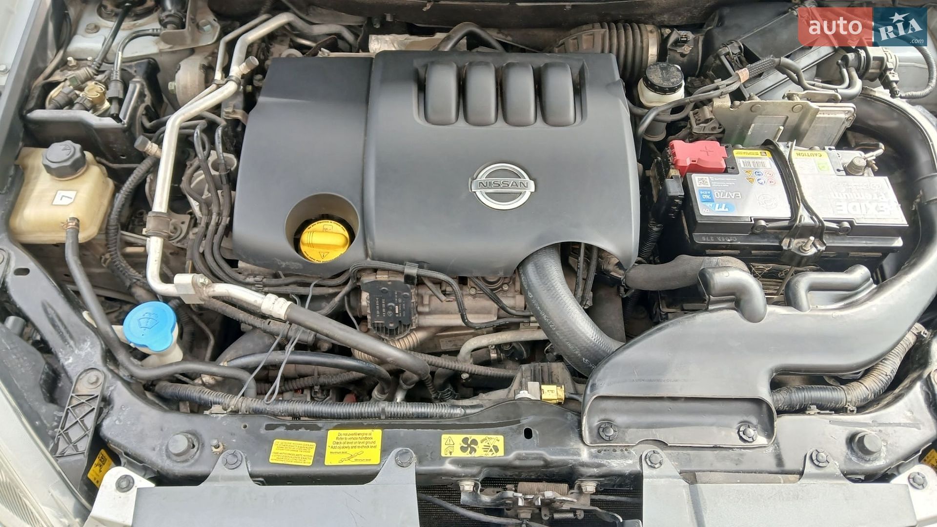 Nissan Qashqai 2007 VIN SJNFDNJ10U1147983 фото оголошення 29 з 29