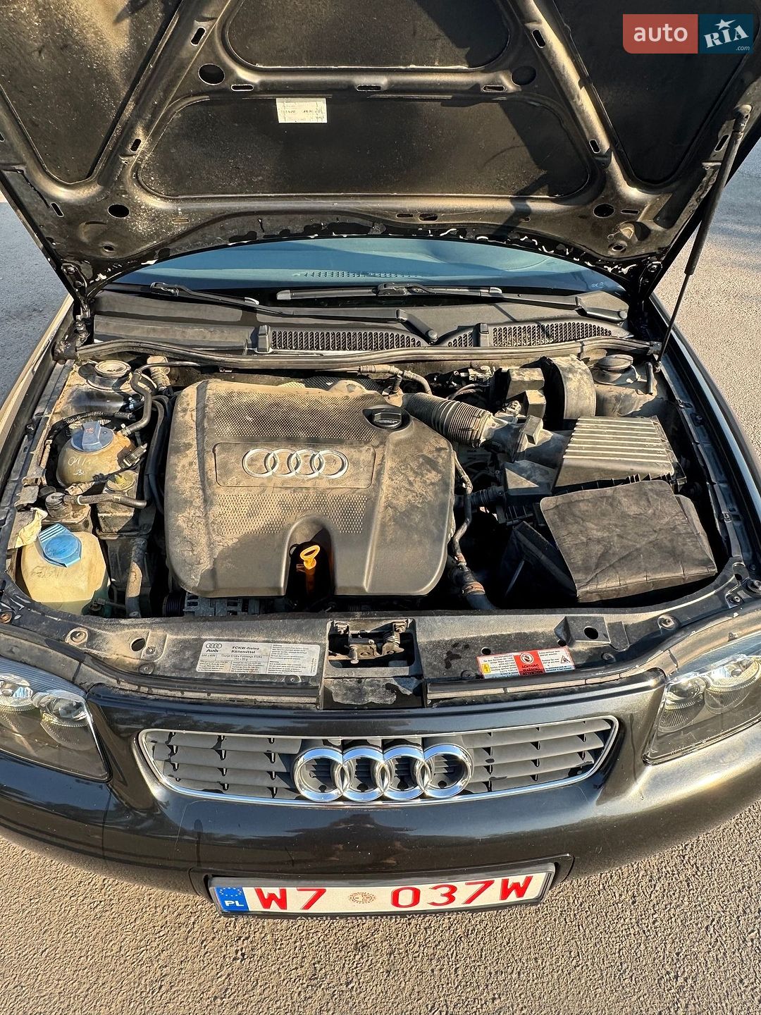 Audi A3 2000 VIN WAUZZZ8LZYA142509 фото оголошення 3 з 10