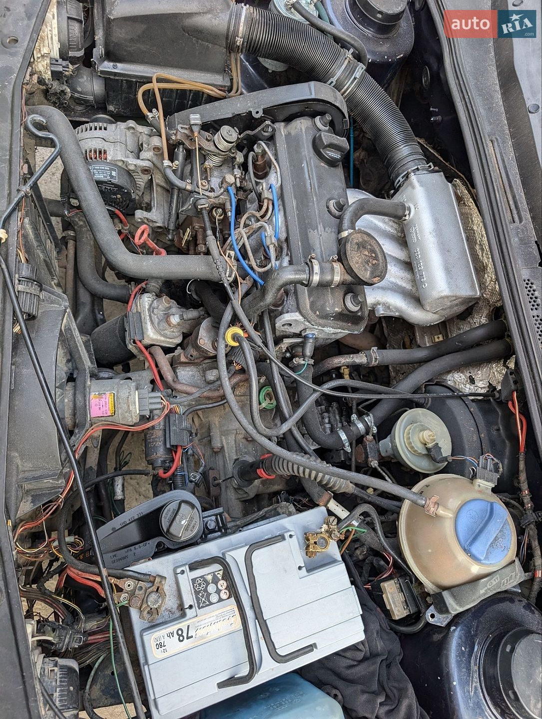 Volkswagen Golf 1992 VIN WVWZZZ1HZNW075801 фото оголошення 8 з 8