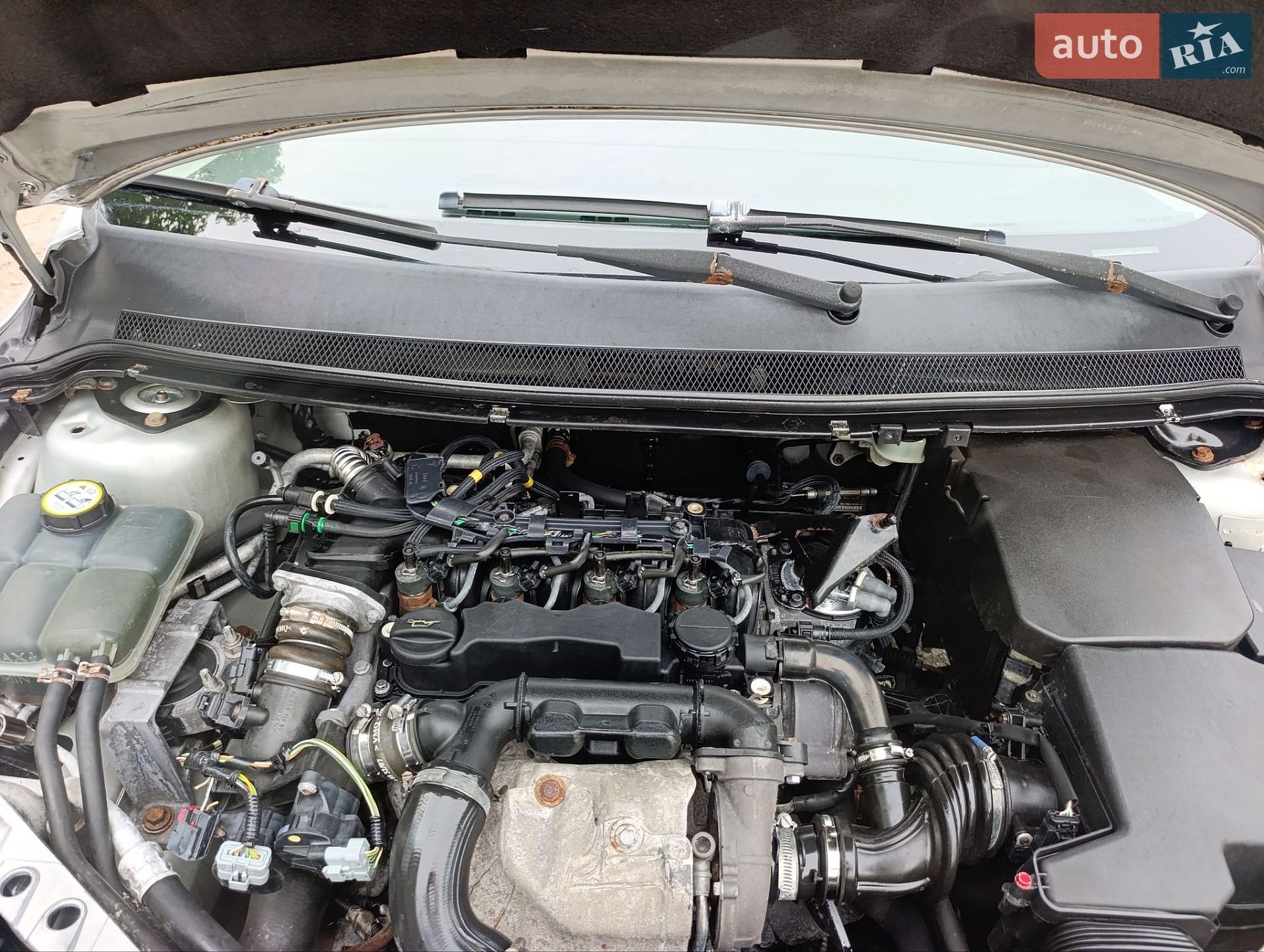 Ford Focus 2007 VIN WF0WXXGCDW7J29933 фото оголошення 14 з 14