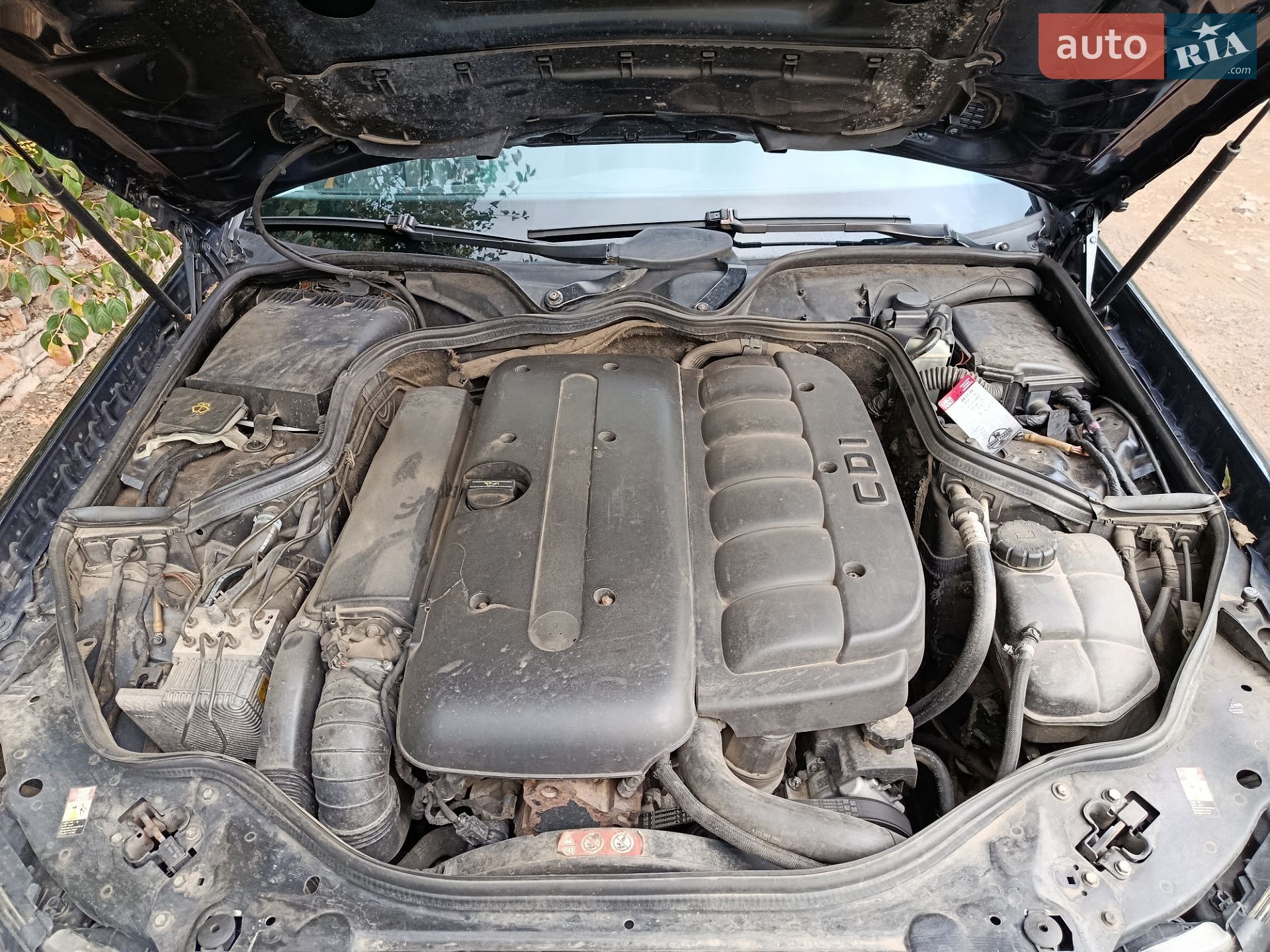 Mercedes-Benz E-Class 2004 VIN WDB2110261A608009 фото оголошення 4 з 11