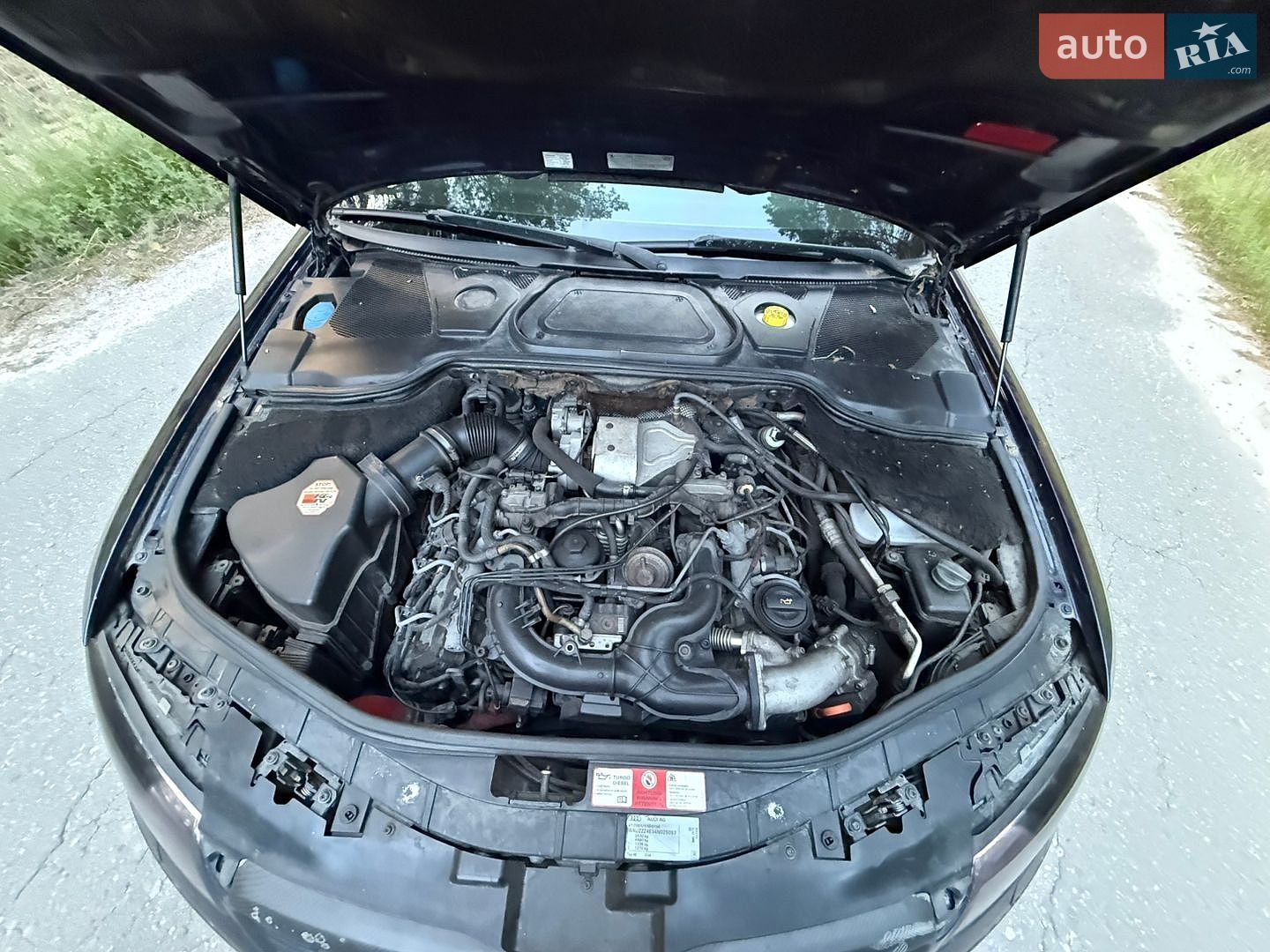 Audi A8 2004 VIN WAUZZZ4E34N025097 фото оголошення 11 з 11