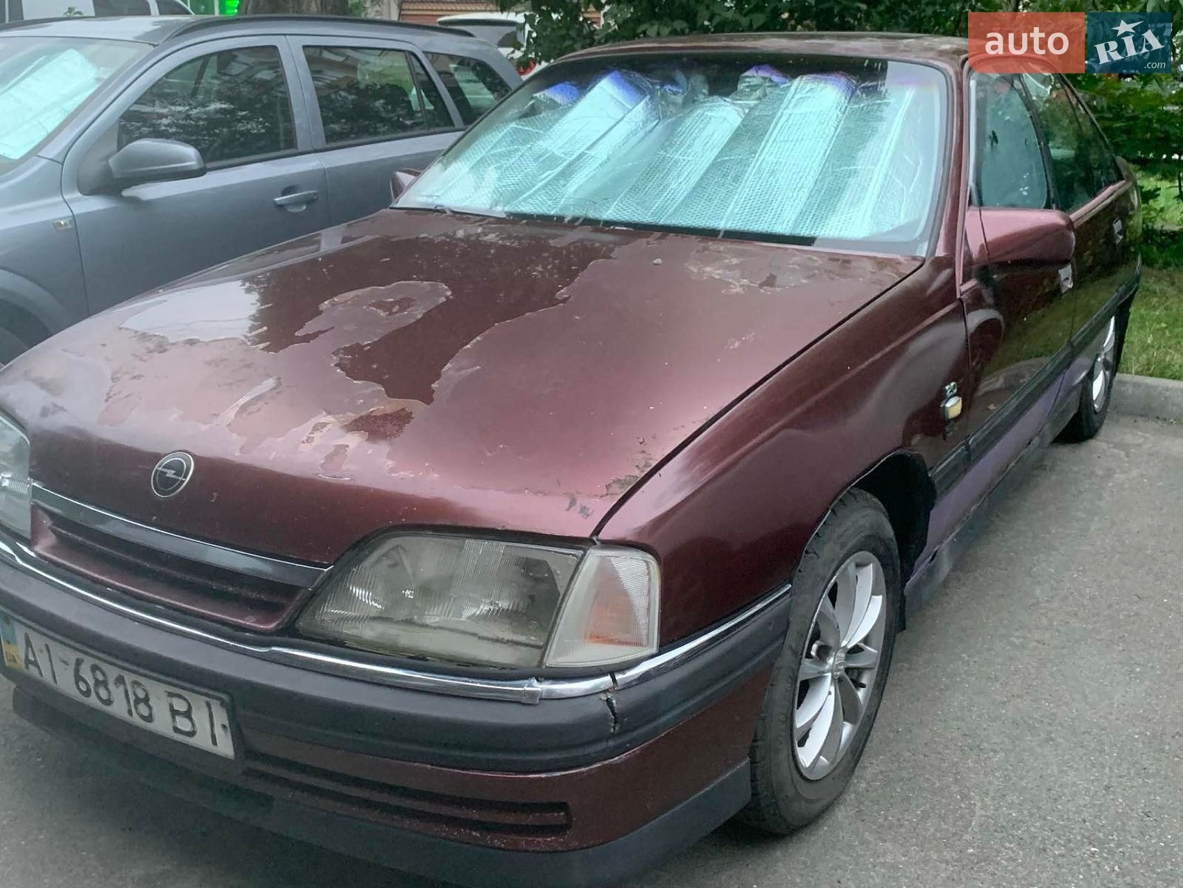 Opel Omega 1991 VIN W0L000017M1084576 фото оголошення 3 з 6