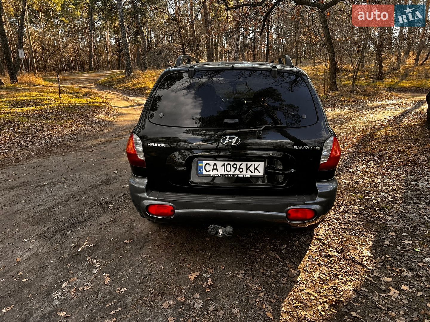 Hyundai Santa FE 2003 VIN KMHSC81BP3U596266 фото оголошення 11 з 12