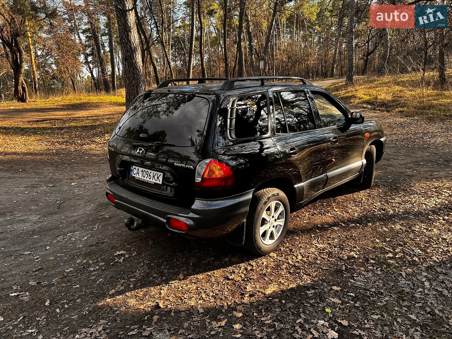 Hyundai Santa FE 2003 VIN KMHSC81BP3U596266 фото оголошення 9 з 12